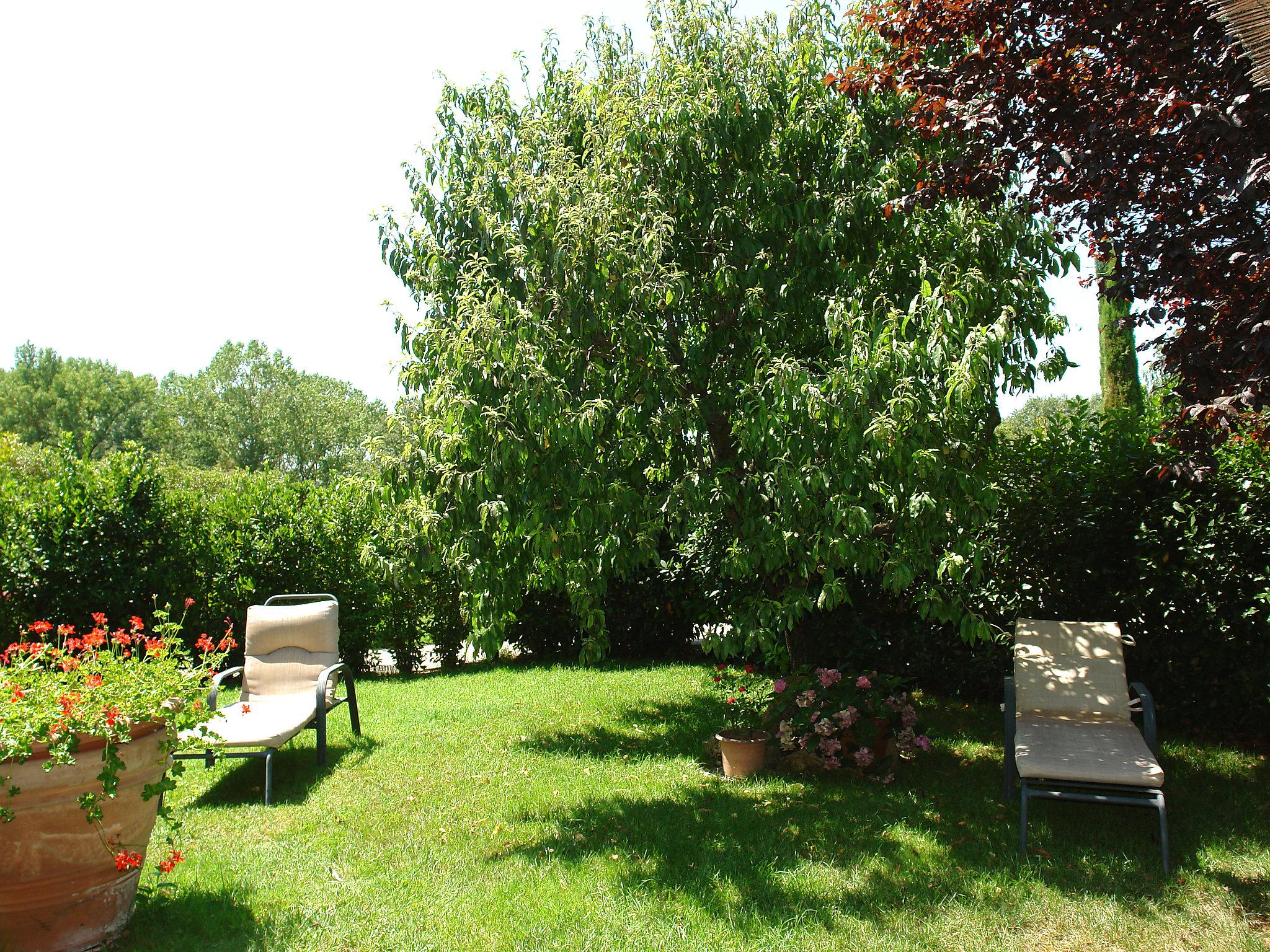 Photo 22 - 2 bedroom Apartment in Castellina in Chianti with swimming pool and garden