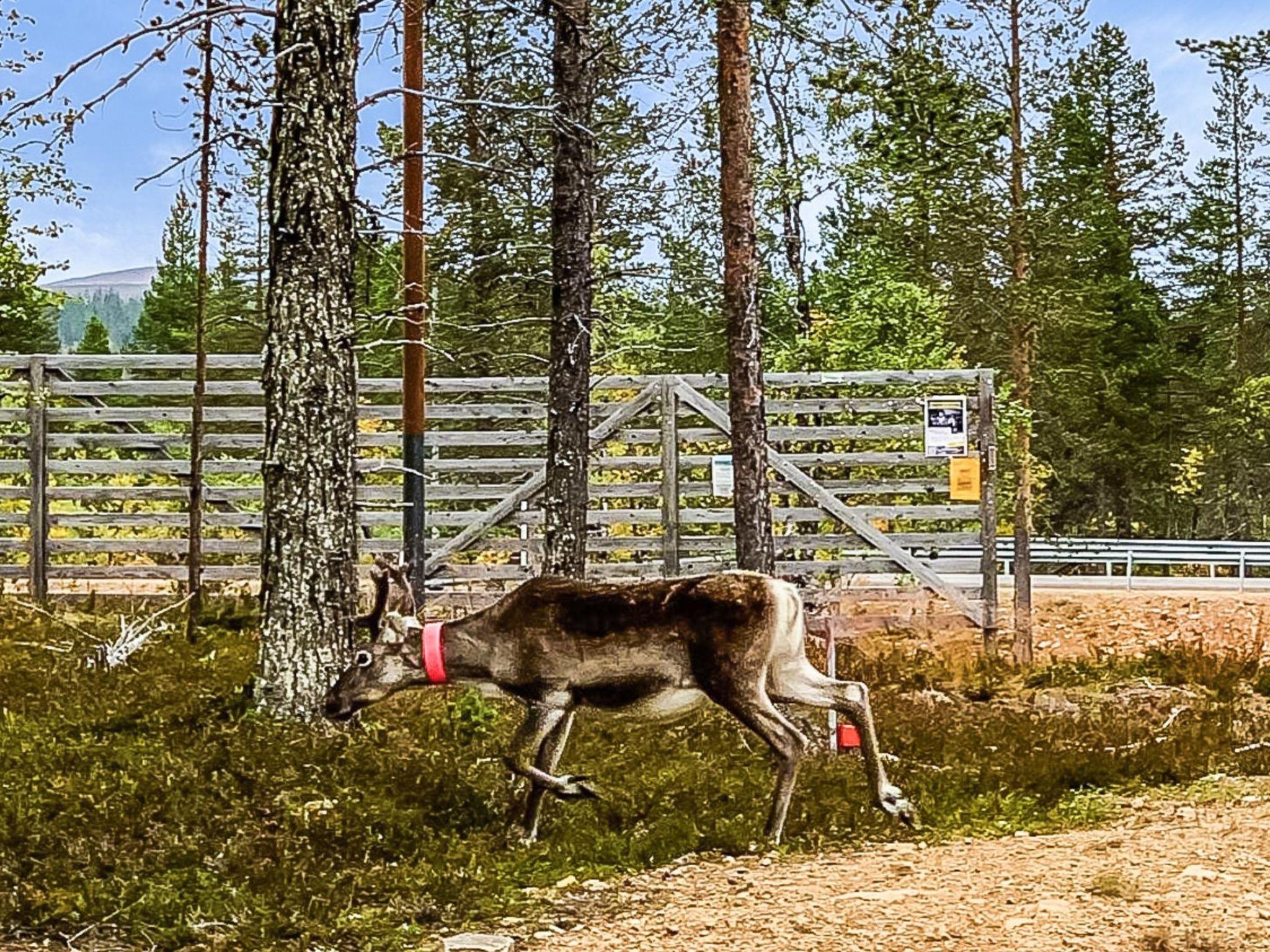 Foto 22 - Haus mit 2 Schlafzimmern in Inari mit sauna und blick auf die berge