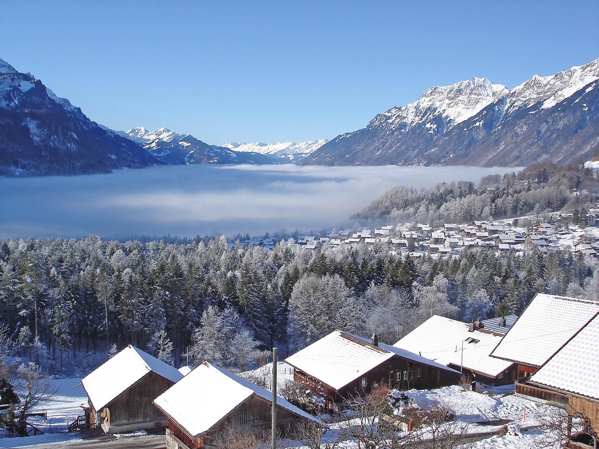 Photo 24 - Appartement de 2 chambres à Schwanden bei Brienz avec vues sur la montagne