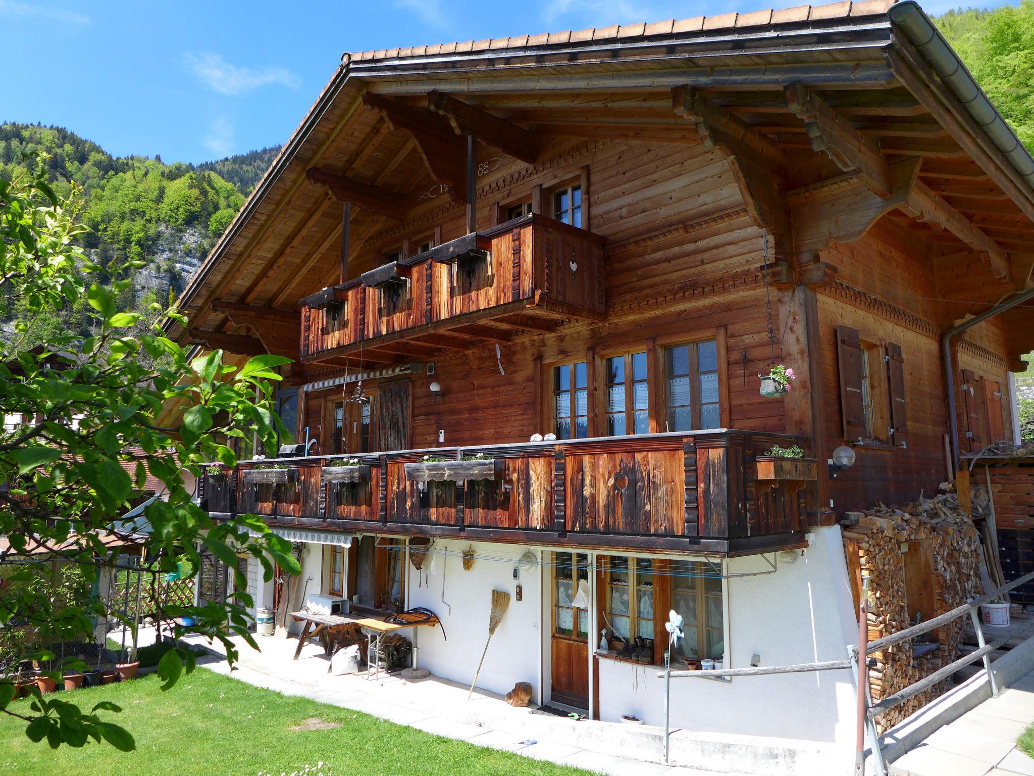 Foto 18 - Apartamento de 2 quartos em Schwanden bei Brienz com jardim