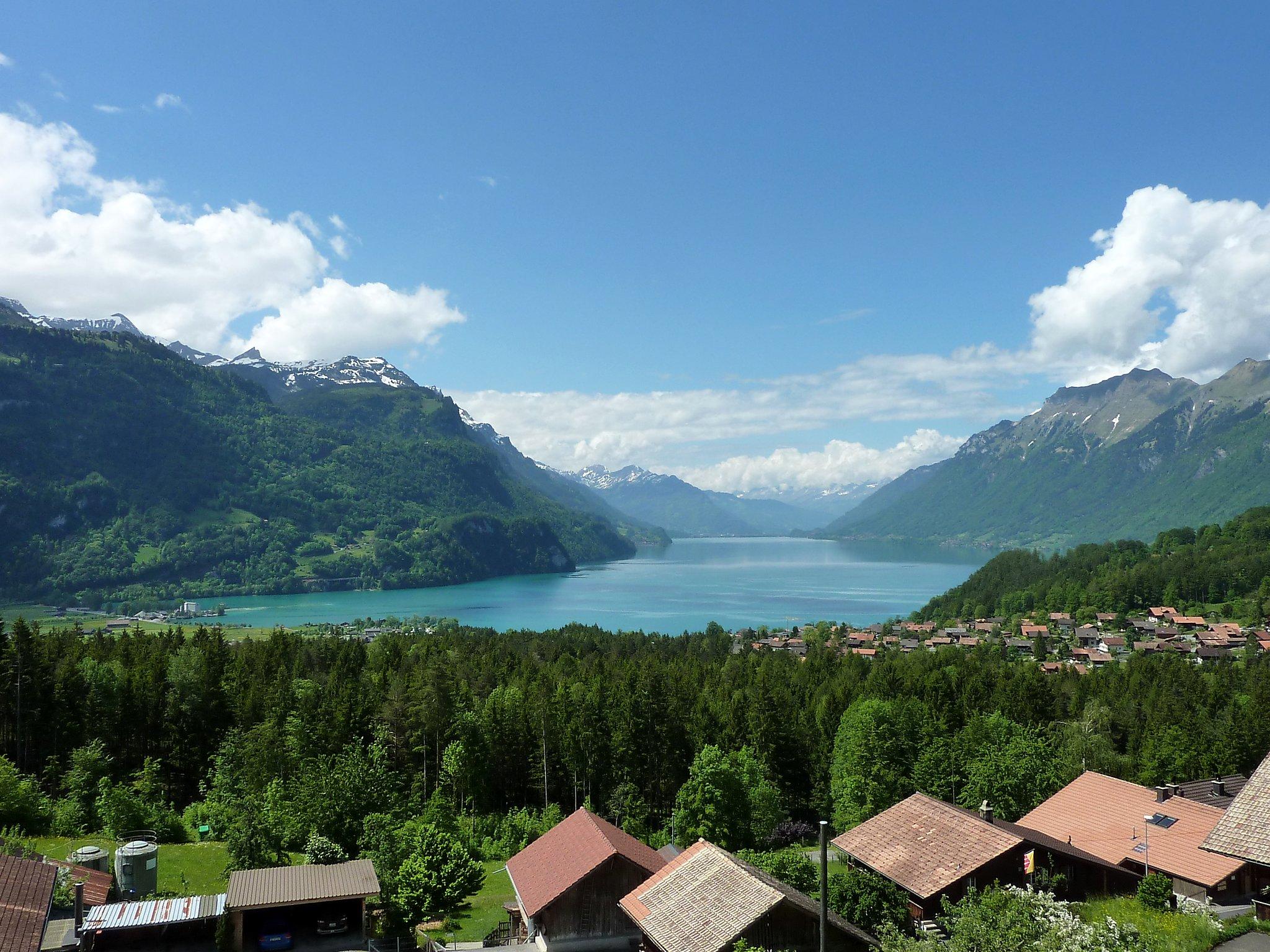 Foto 13 - Apartamento de 2 habitaciones en Schwanden bei Brienz con jardín