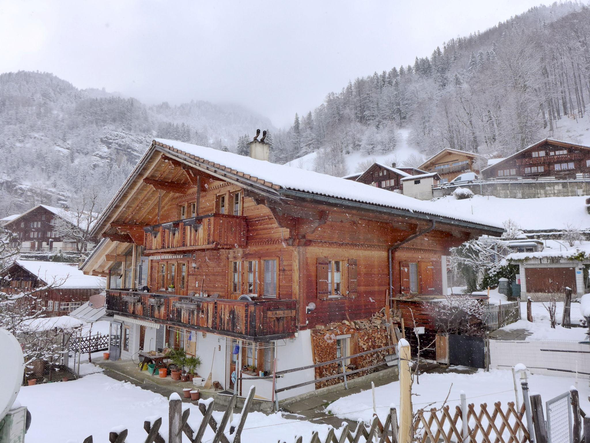 Foto 21 - Apartamento de 2 quartos em Schwanden bei Brienz com vista para a montanha