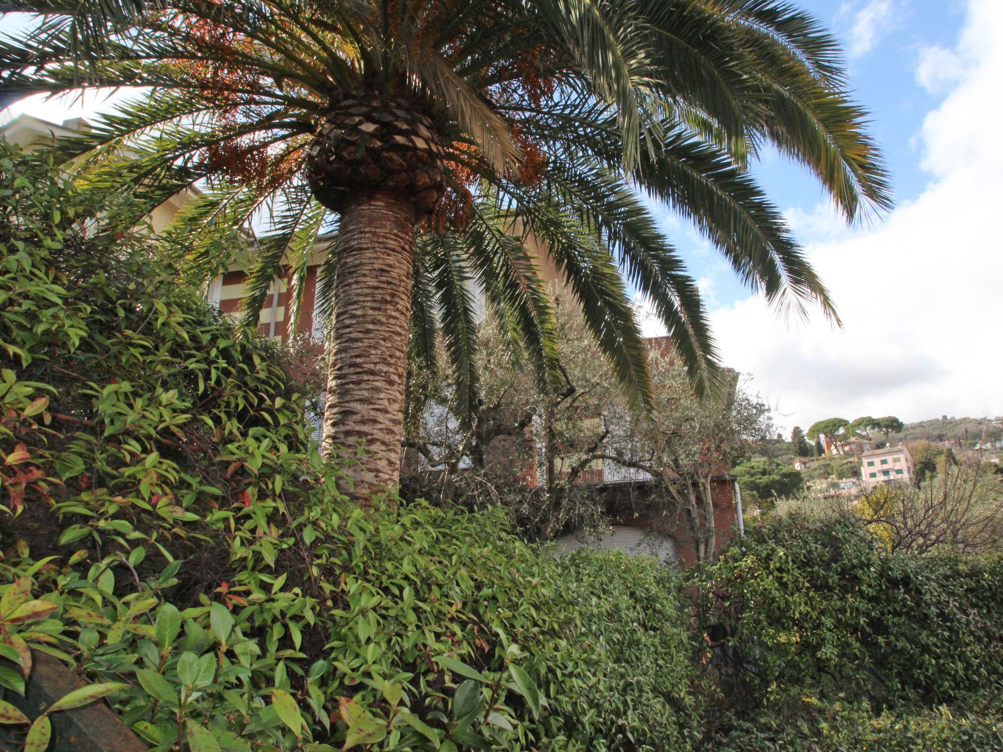 Photo 24 - Appartement de 2 chambres à Rapallo avec jardin et terrasse