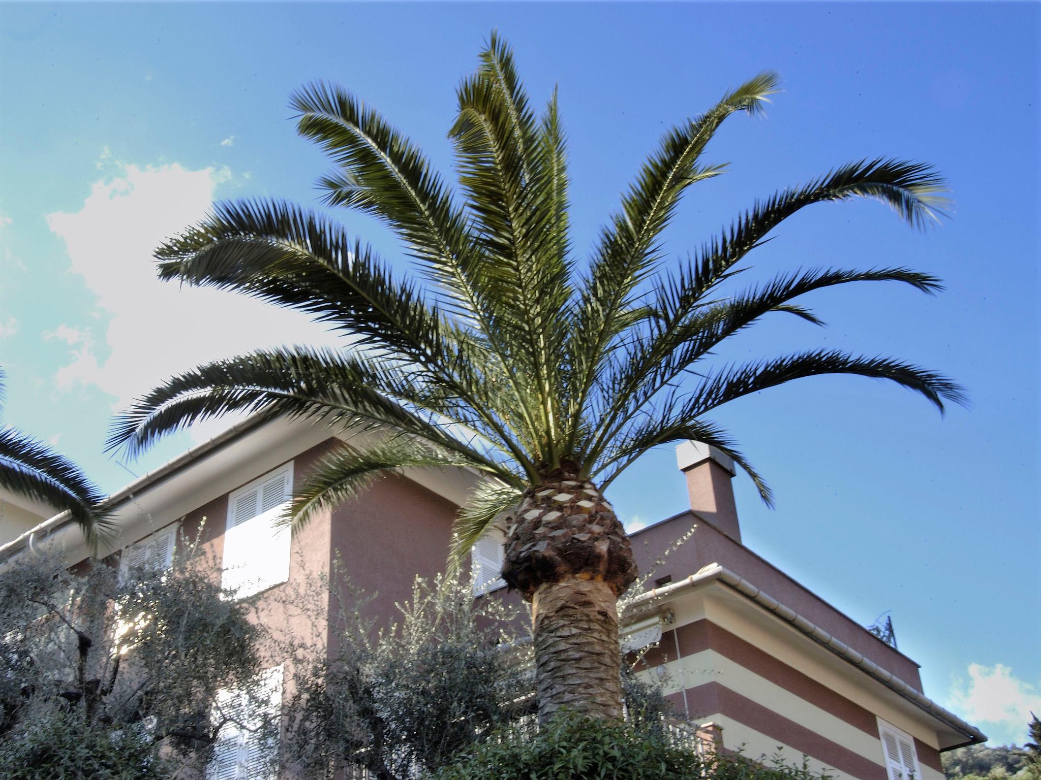 Photo 21 - 2 bedroom Apartment in Rapallo with garden and terrace