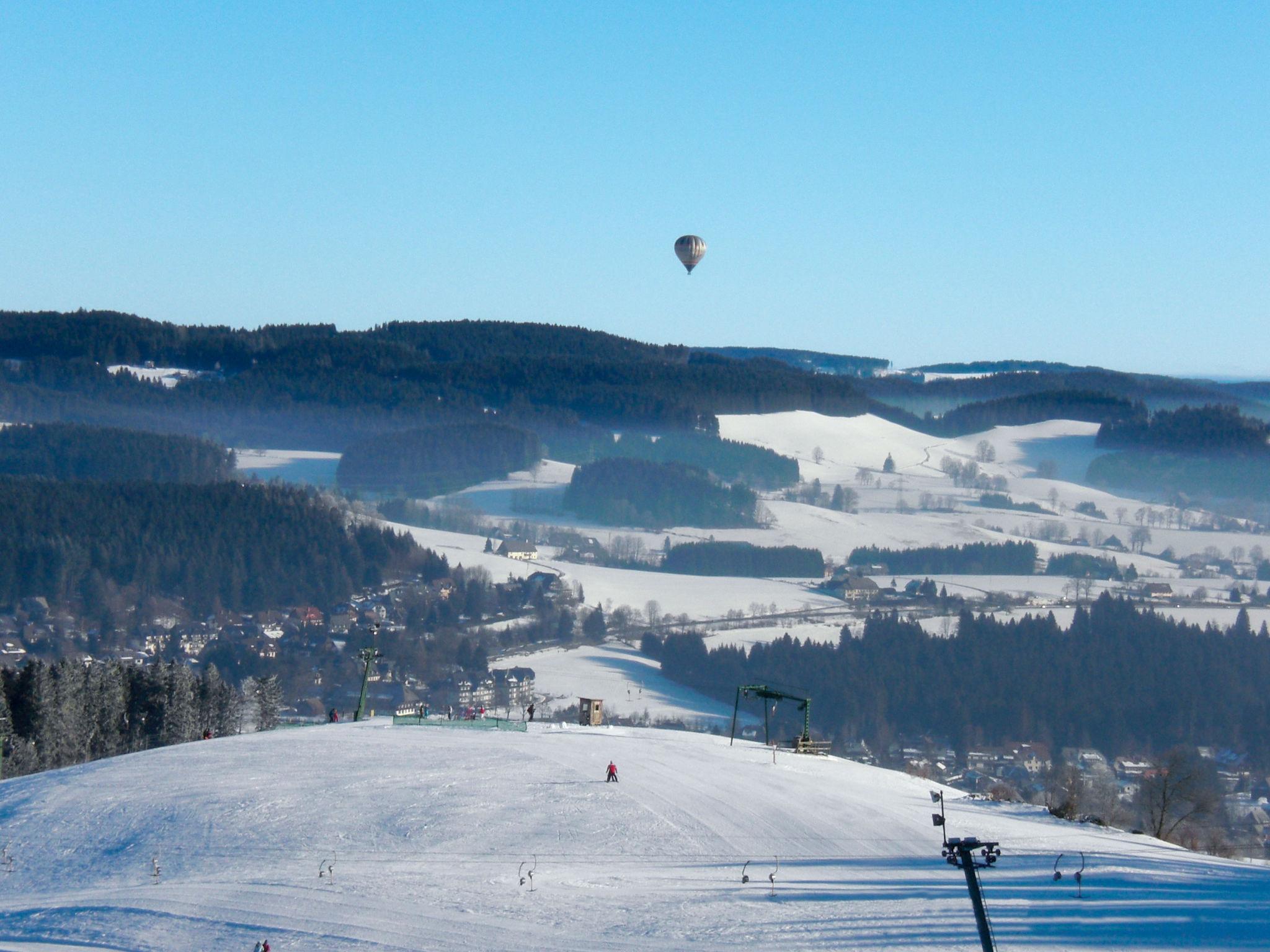 Photo 24 - 1 bedroom Apartment in Hinterzarten with garden and mountain view