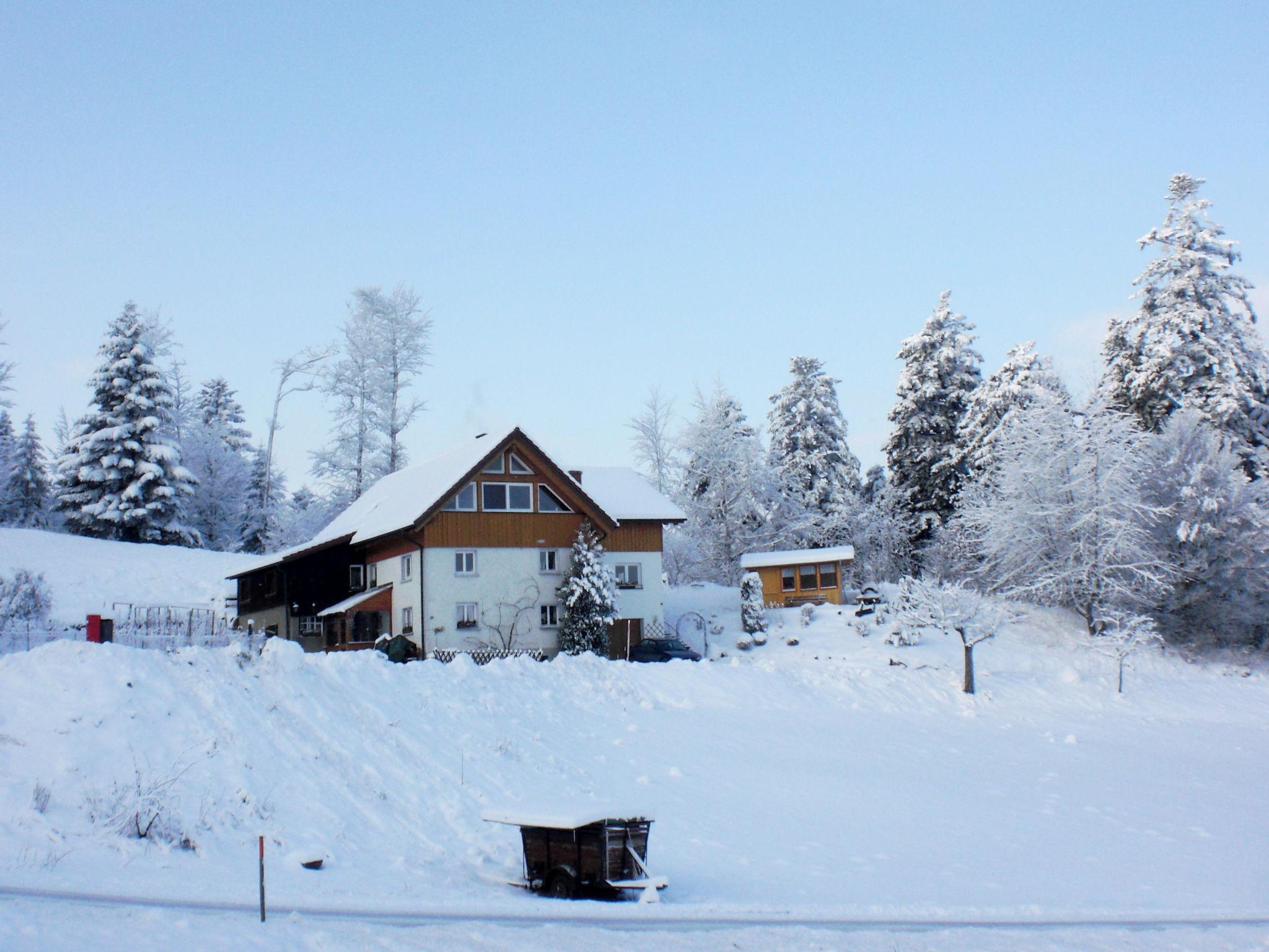 Photo 20 - 1 bedroom Apartment in Hinterzarten with garden and mountain view