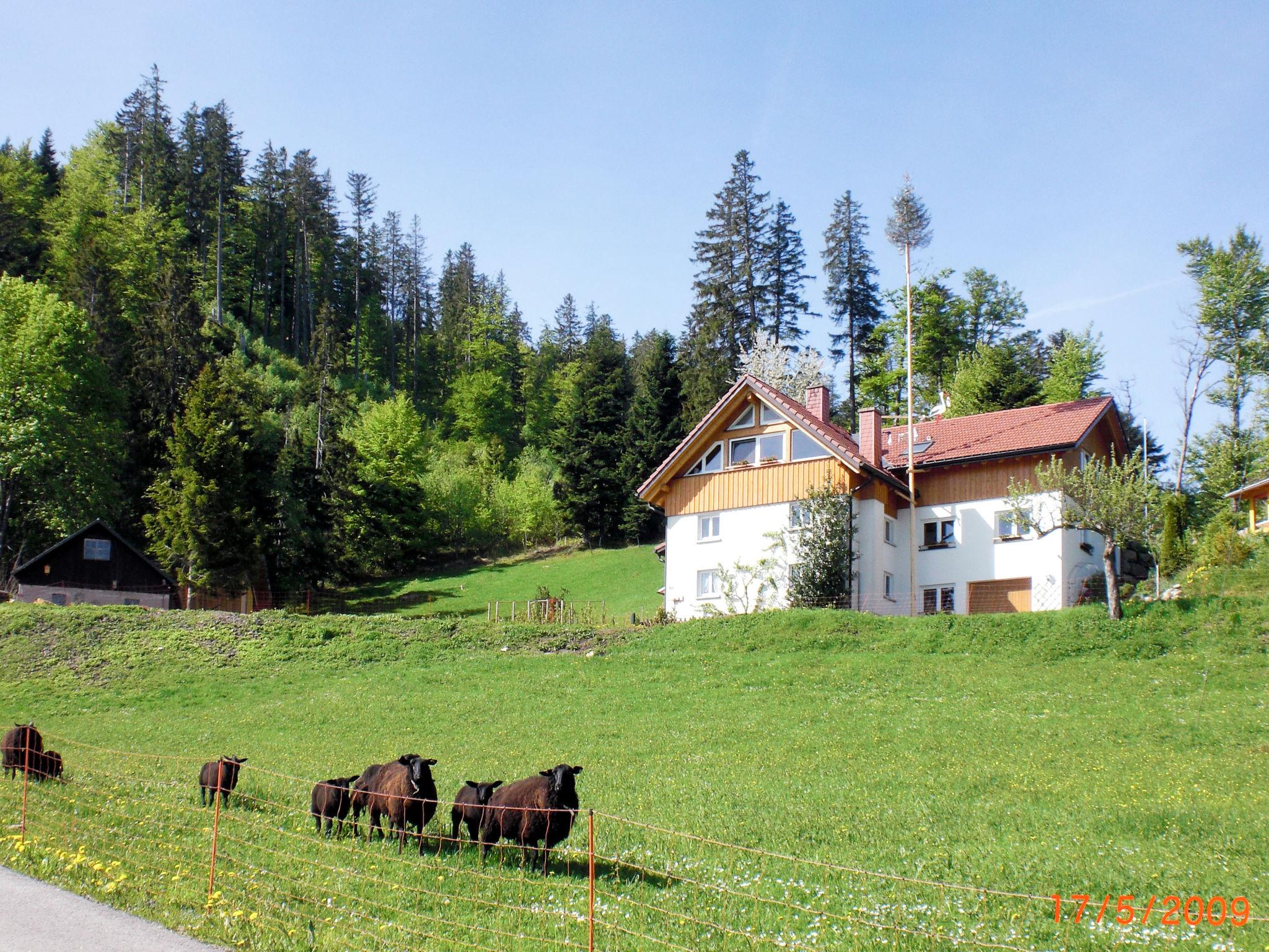 Photo 14 - Appartement de 1 chambre à Hinterzarten avec jardin et vues sur la montagne