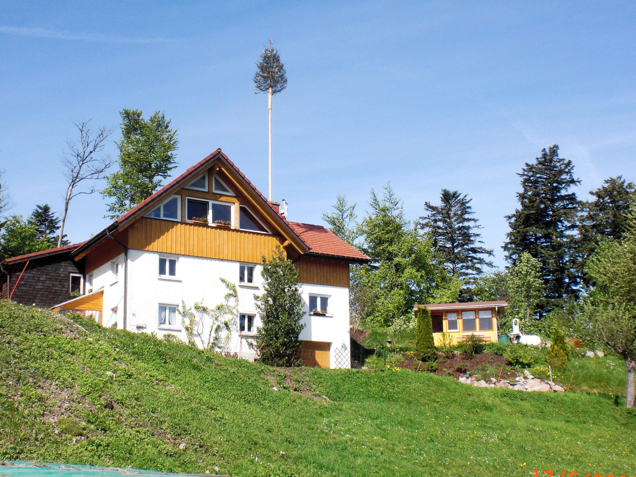 Foto 1 - Apartamento de 1 habitación en Hinterzarten con jardín y vistas a la montaña