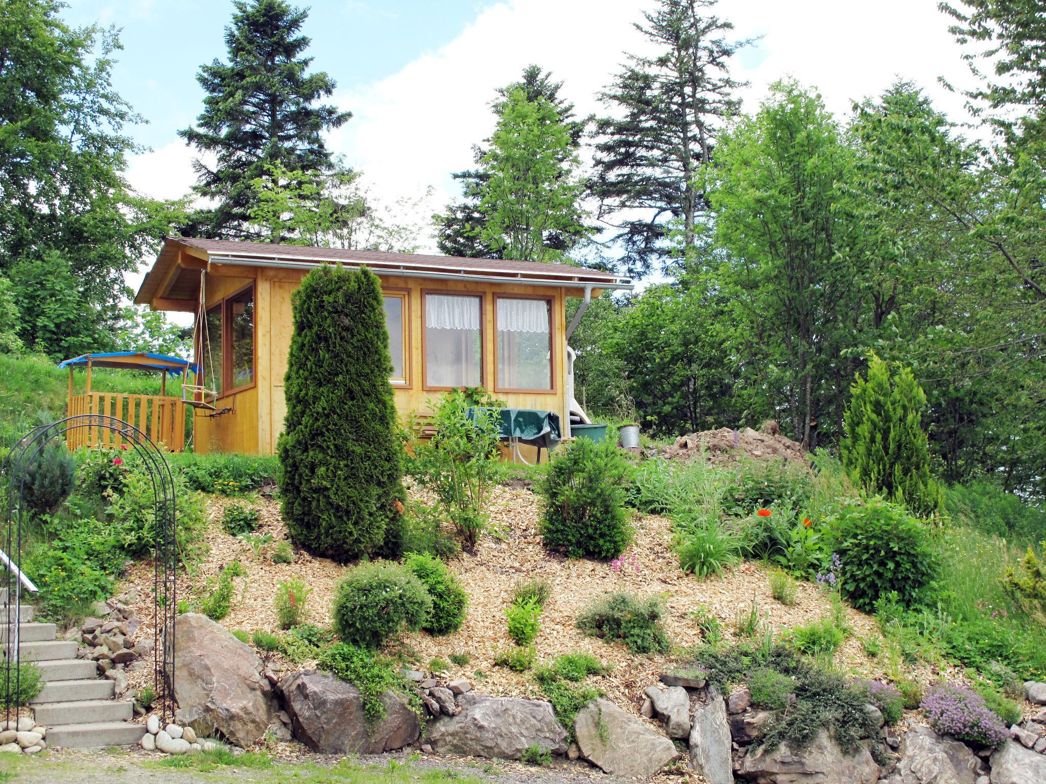 Foto 15 - Apartamento de 1 habitación en Hinterzarten con jardín y terraza