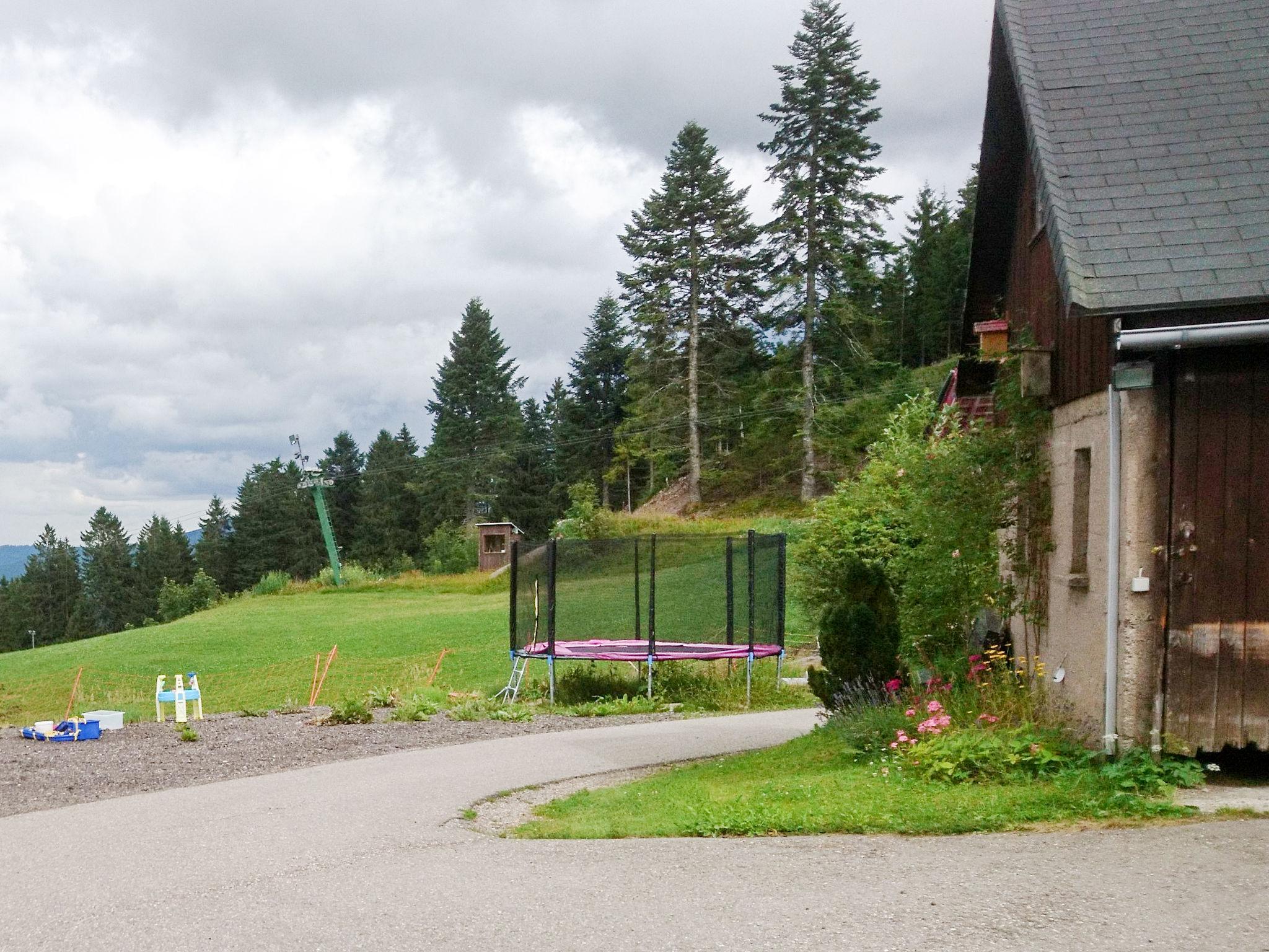 Foto 17 - Apartamento de 1 habitación en Hinterzarten con jardín y terraza