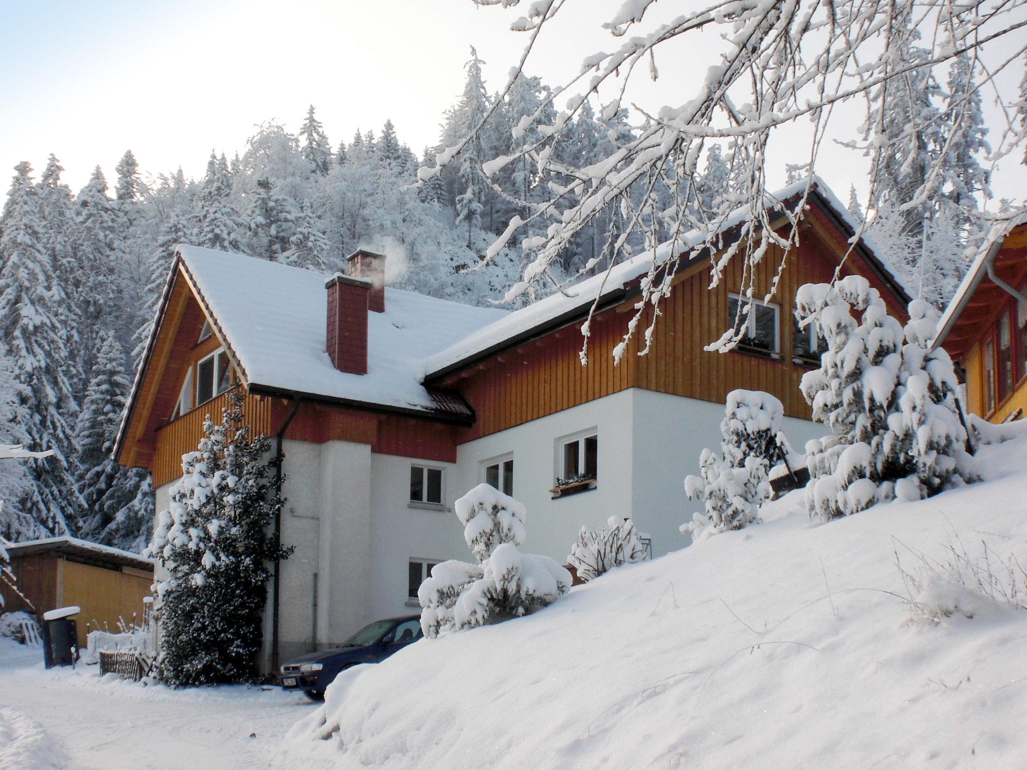 Photo 21 - Appartement de 1 chambre à Hinterzarten avec jardin et vues sur la montagne