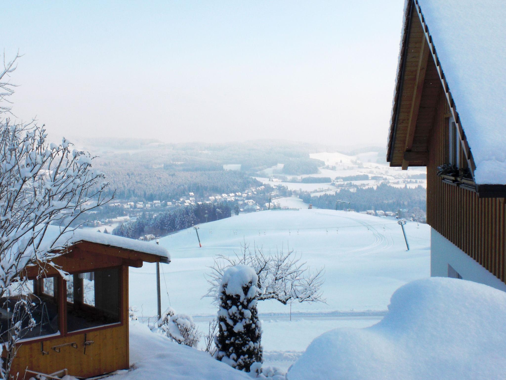 Photo 22 - Appartement de 1 chambre à Hinterzarten avec jardin et vues sur la montagne