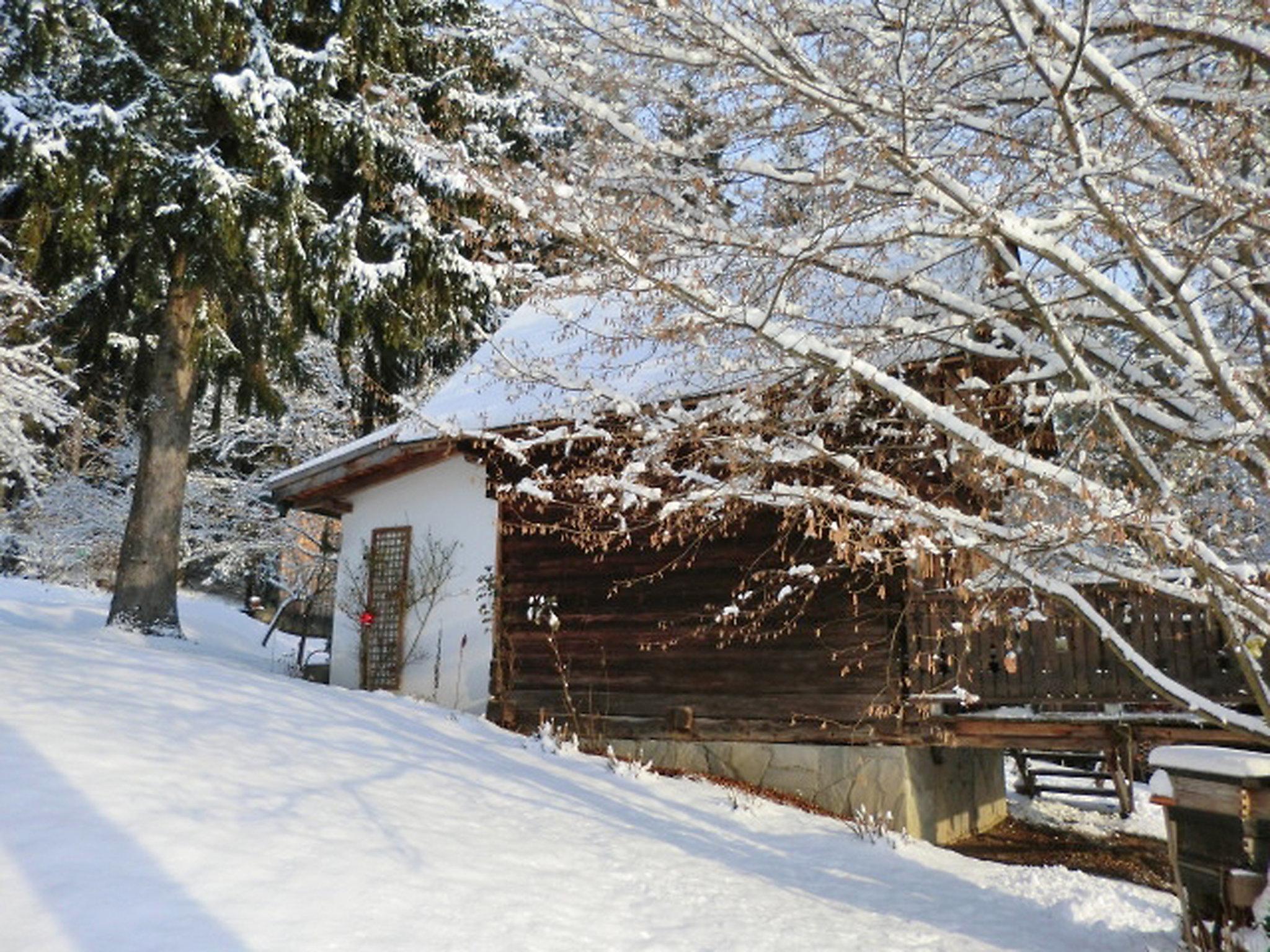 Foto 34 - Casa de 1 quarto em Velden am Wörther See com jardim e vista para a montanha