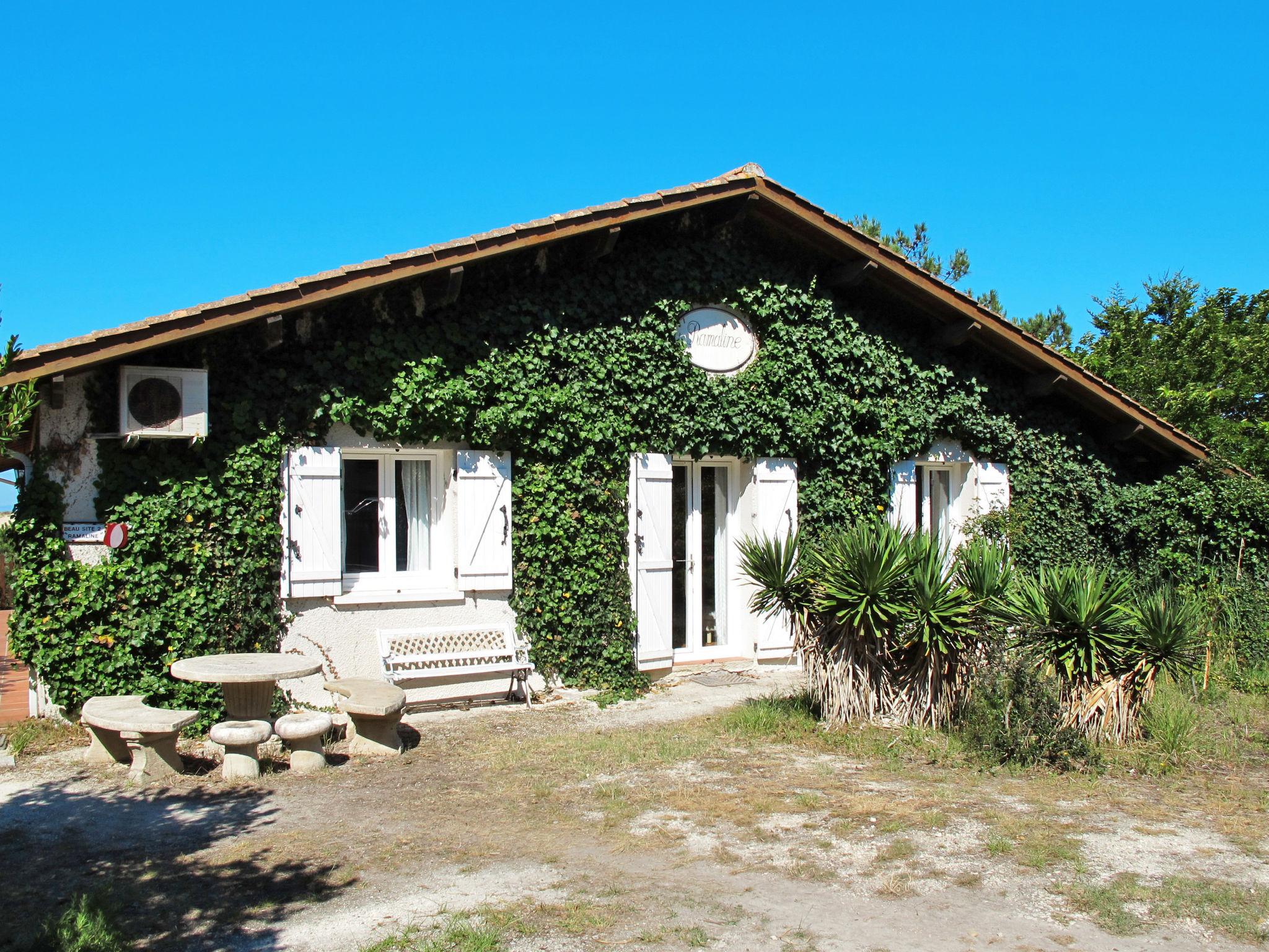 Foto 1 - Apartamento de 1 quarto em Lacanau com jardim e terraço