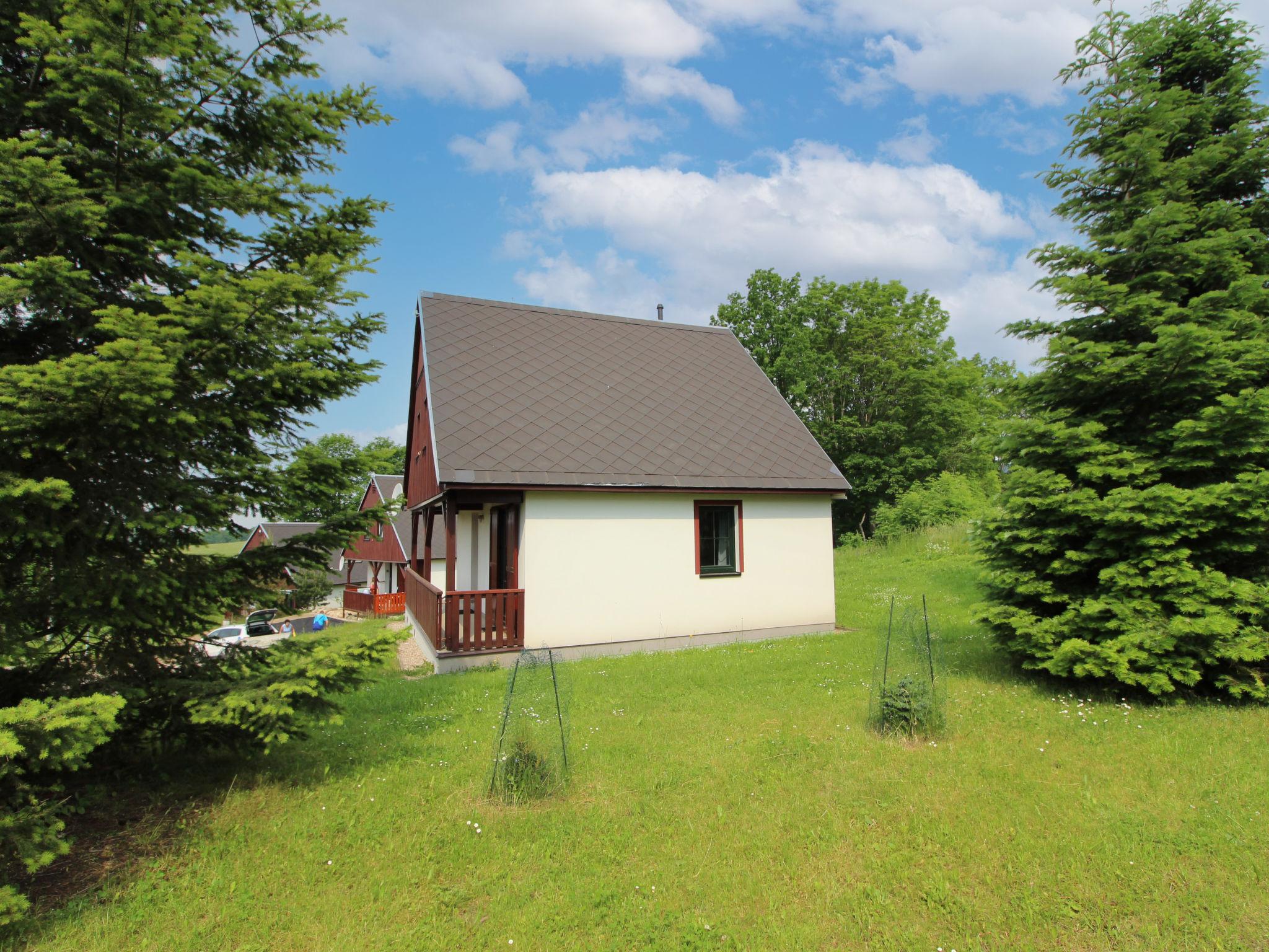 Foto 35 - Haus mit 3 Schlafzimmern in Černý Důl mit schwimmbad und blick auf die berge