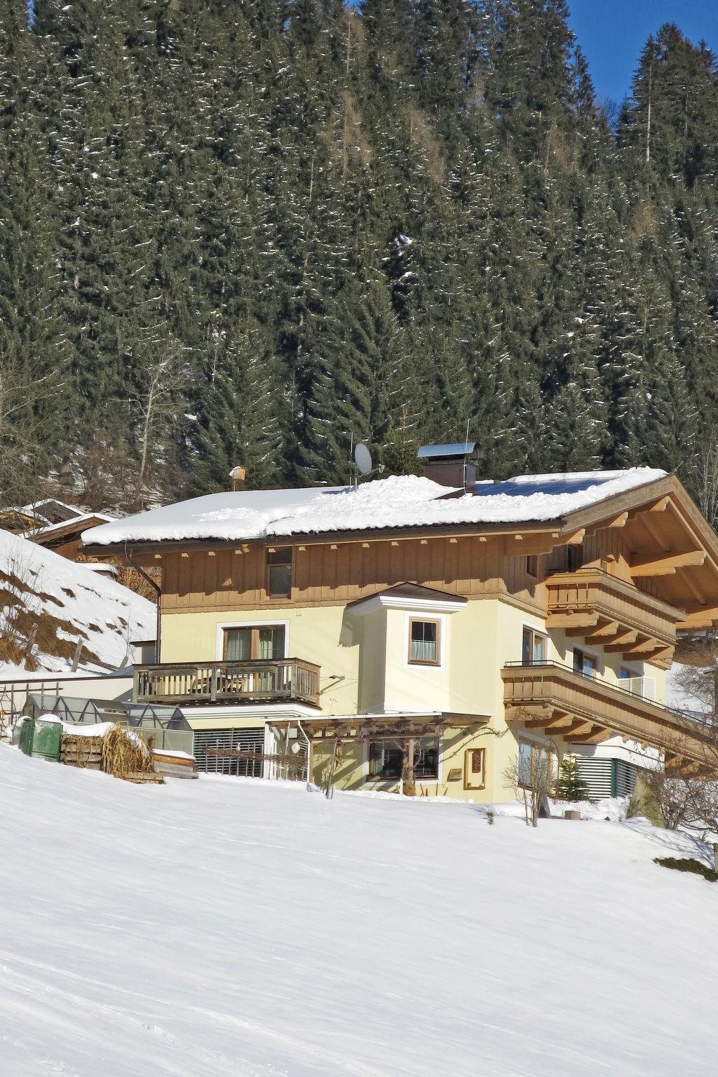 Photo 32 - Maison de 6 chambres à Bramberg am Wildkogel avec sauna et vues sur la montagne