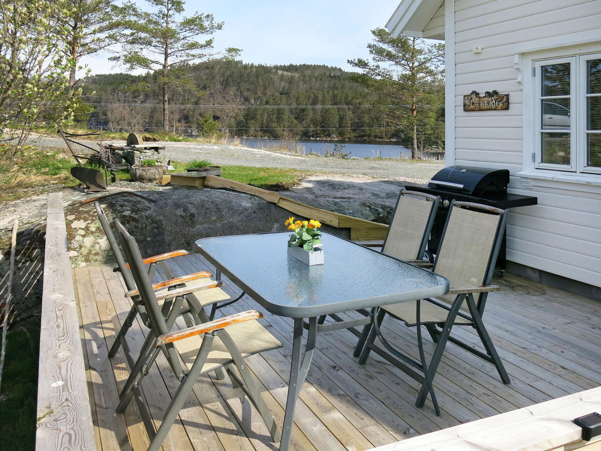 Foto 2 - Casa de 3 quartos em Sør-Audnedal com terraço