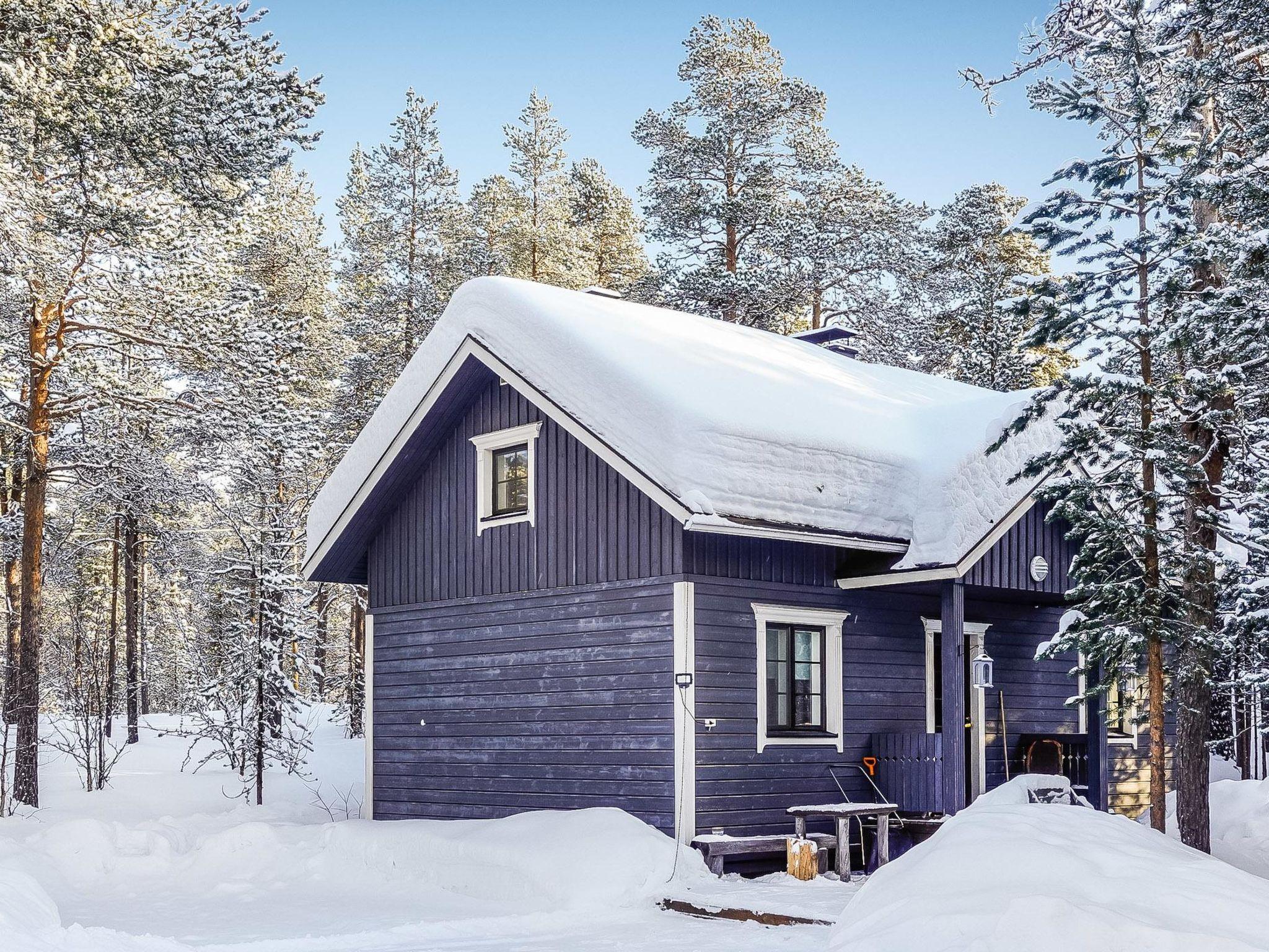 Foto 32 - Haus mit 1 Schlafzimmer in Inari mit sauna und blick auf die berge