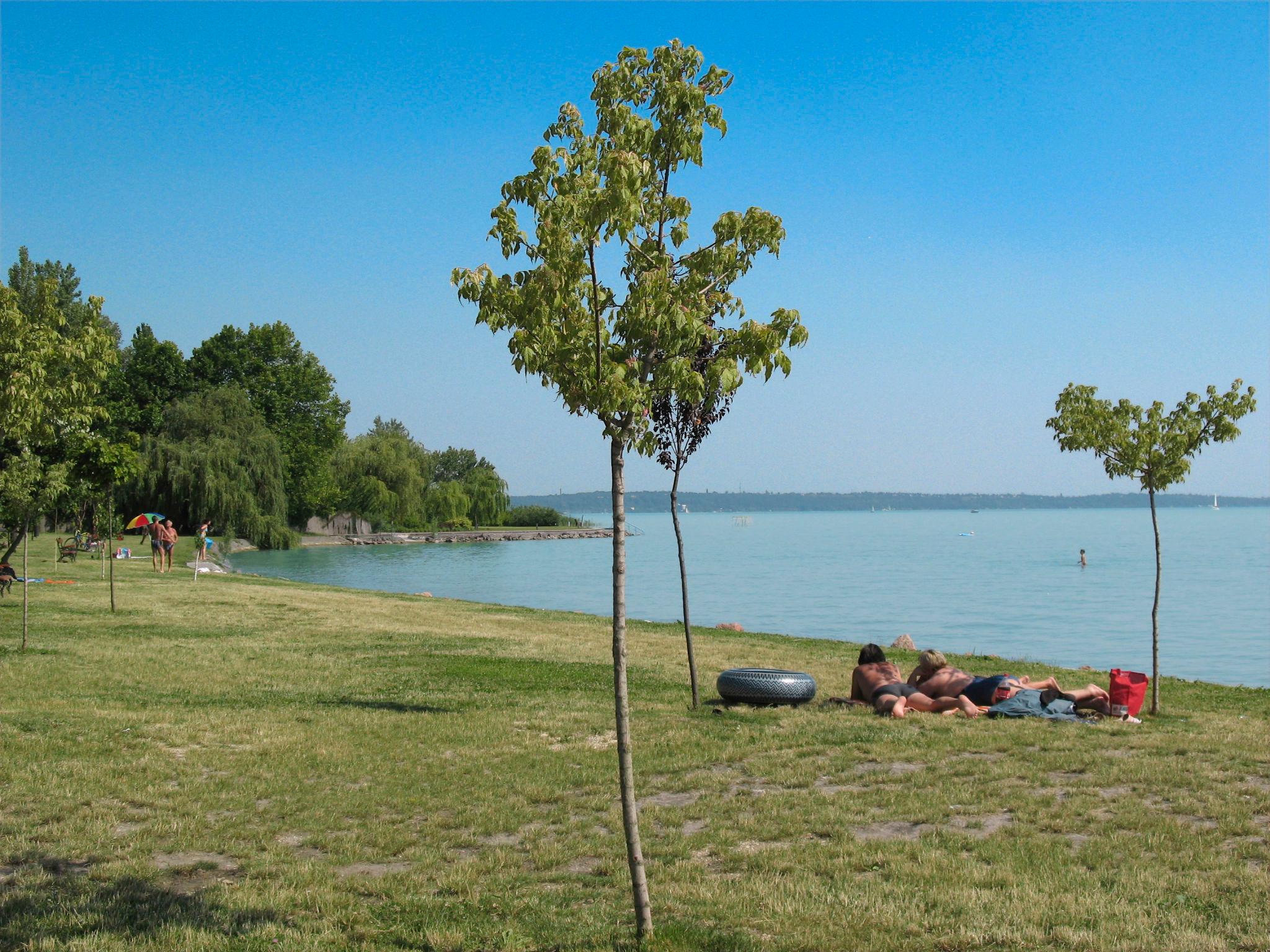 Foto 36 - Casa de 4 habitaciones en Balatonkenese con piscina privada y jardín