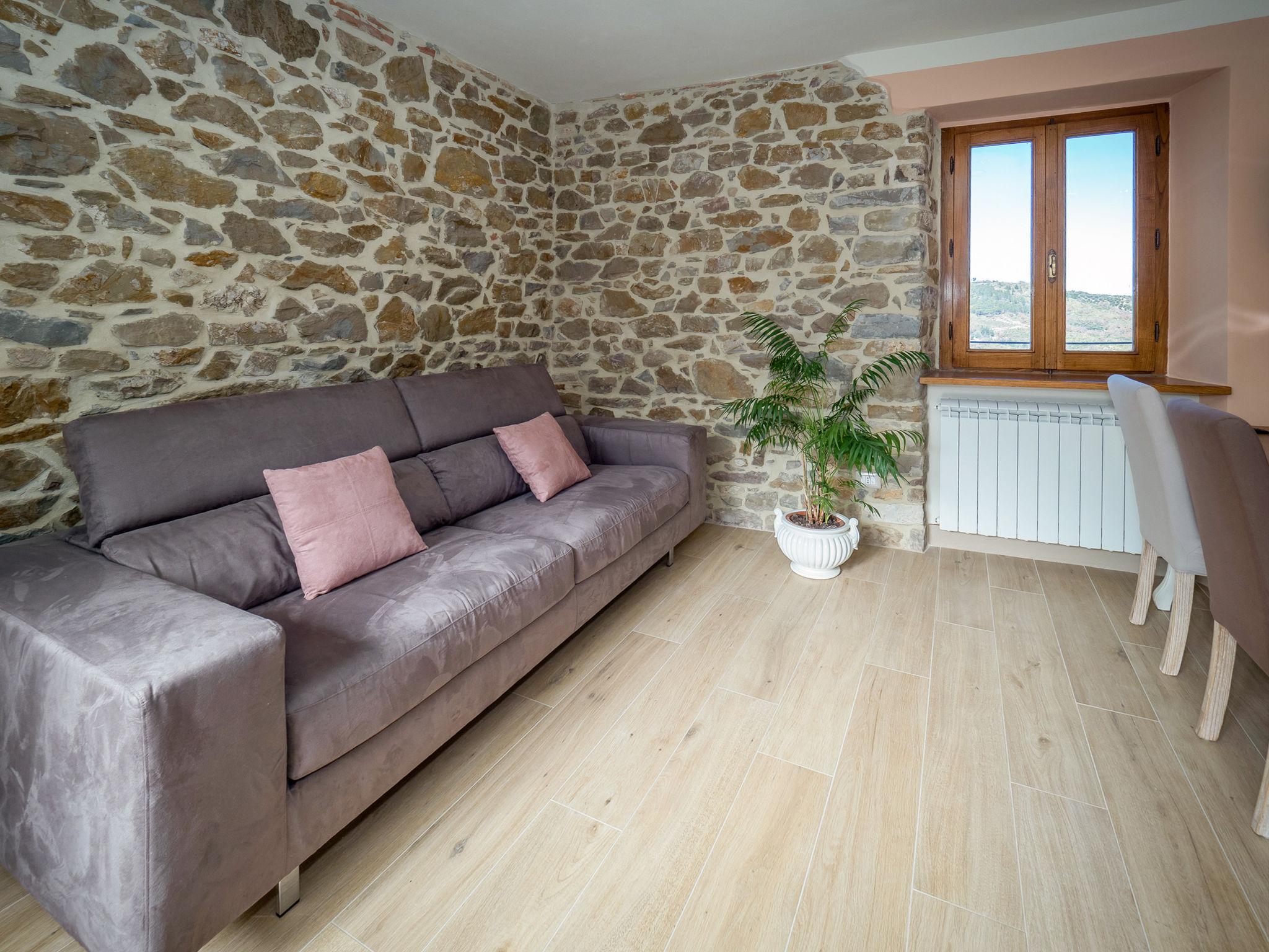 Photo 8 - Maison de 1 chambre à Seggiano avec jardin et terrasse