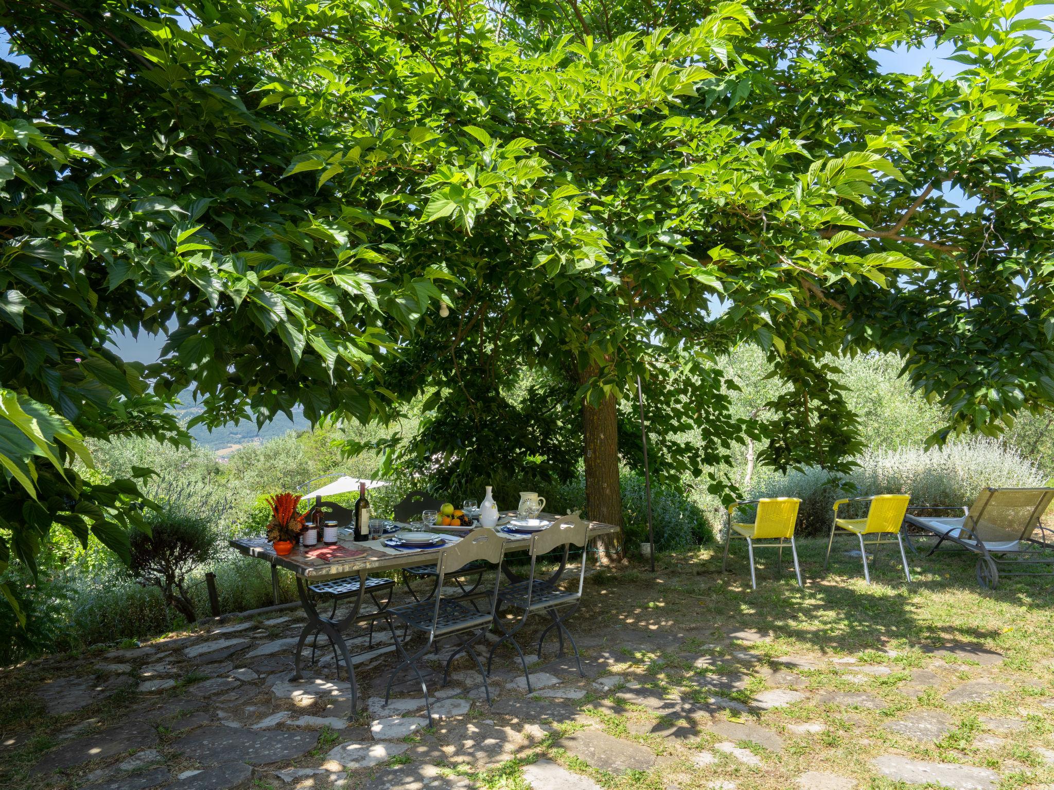 Foto 37 - Casa de 4 quartos em Pontassieve com piscina privada e jardim