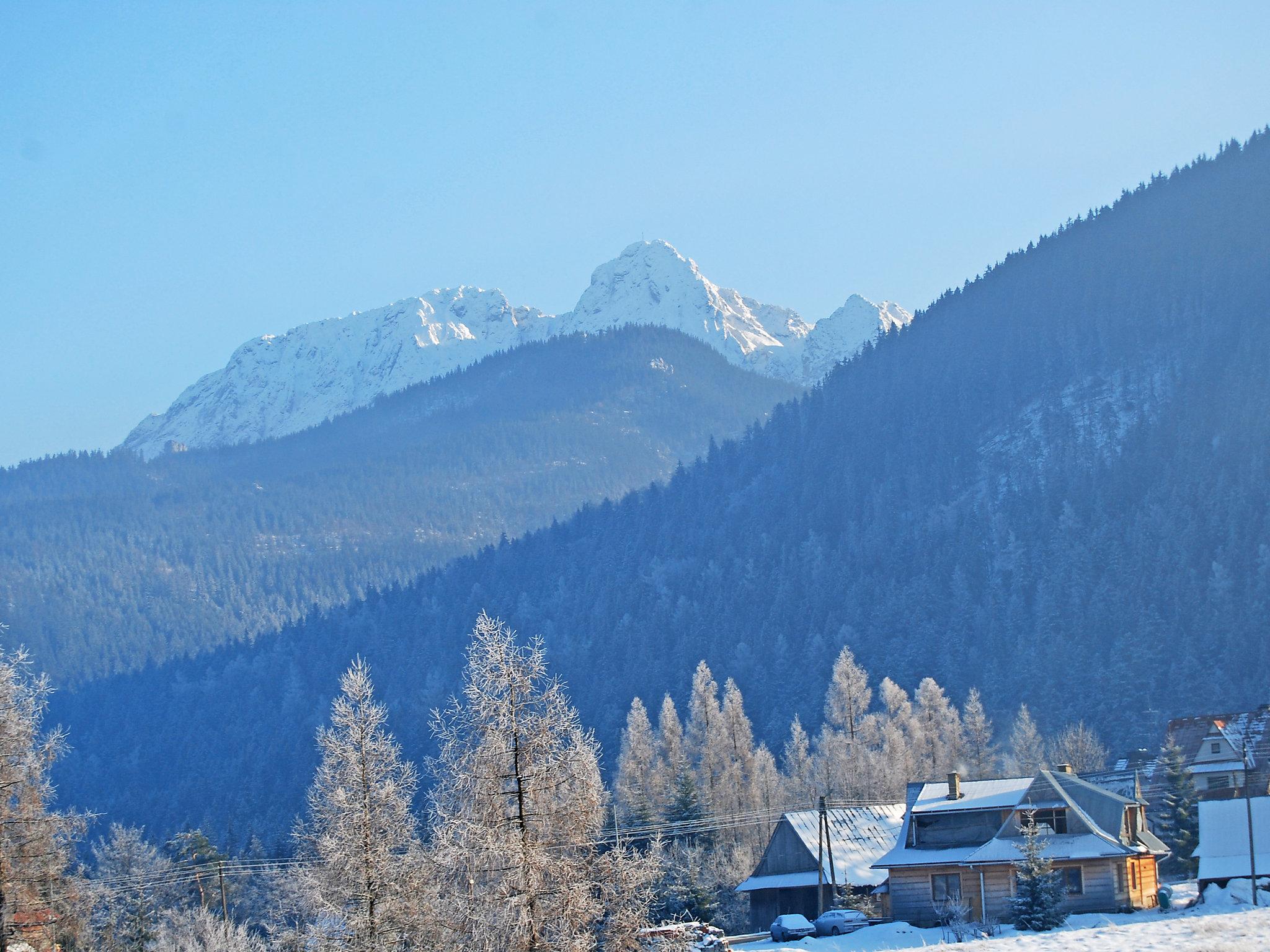 Foto 40 - Appartamento con 2 camere da letto a Kościelisko con terrazza