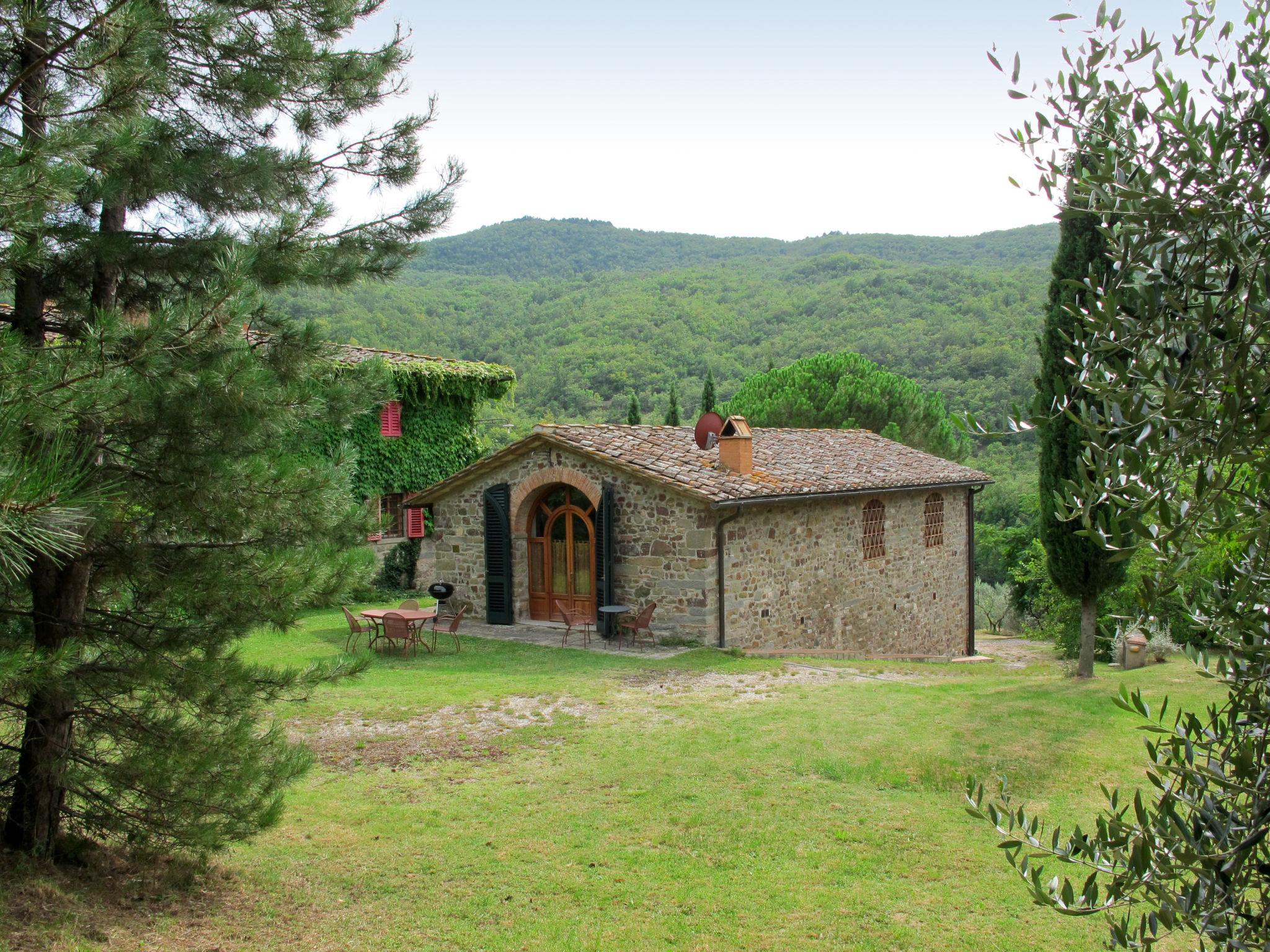 Photo 18 - 1 bedroom House in Greve in Chianti with garden