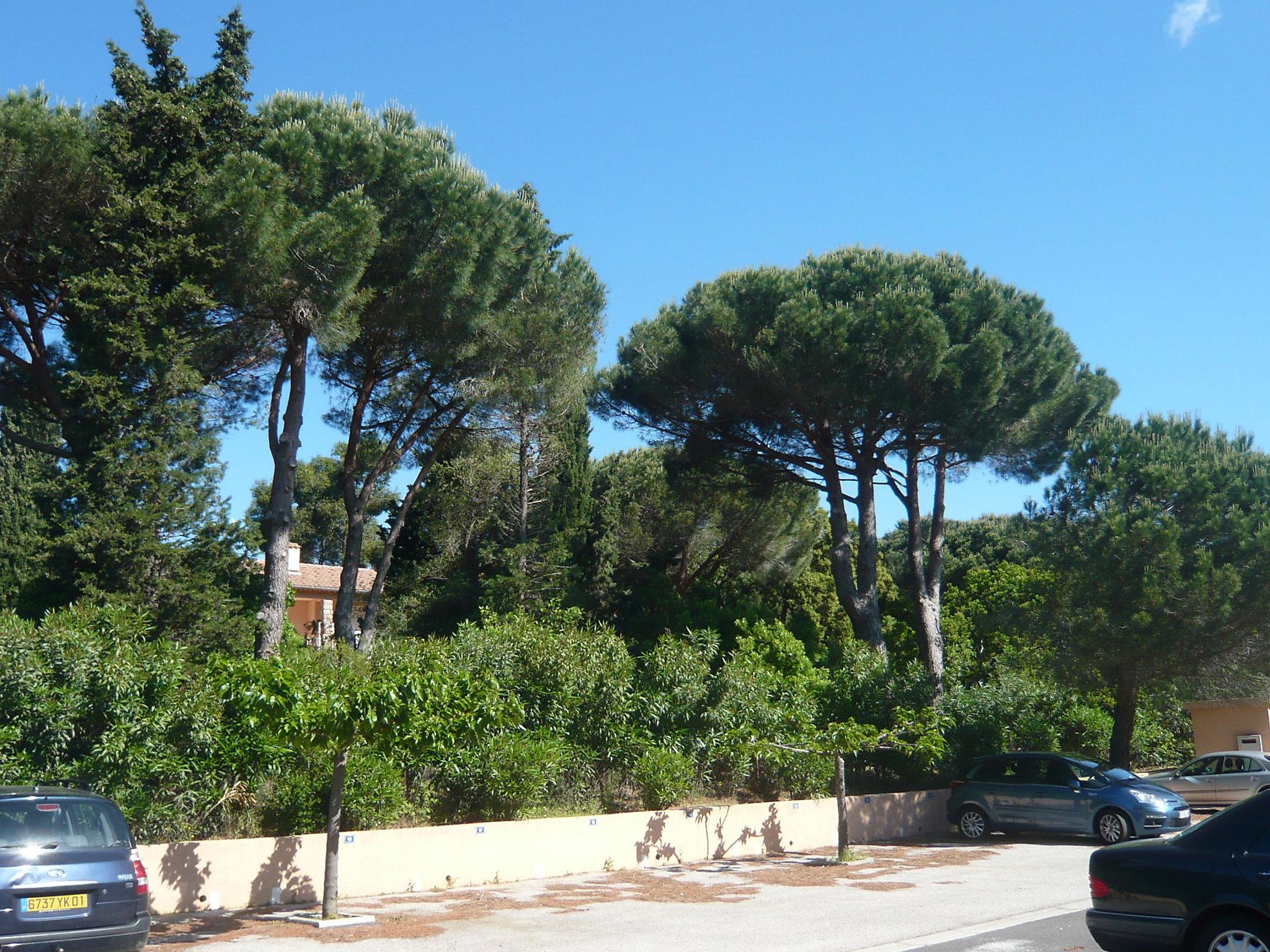 Photo 20 - Apartment in Cavalaire-sur-Mer with terrace and sea view