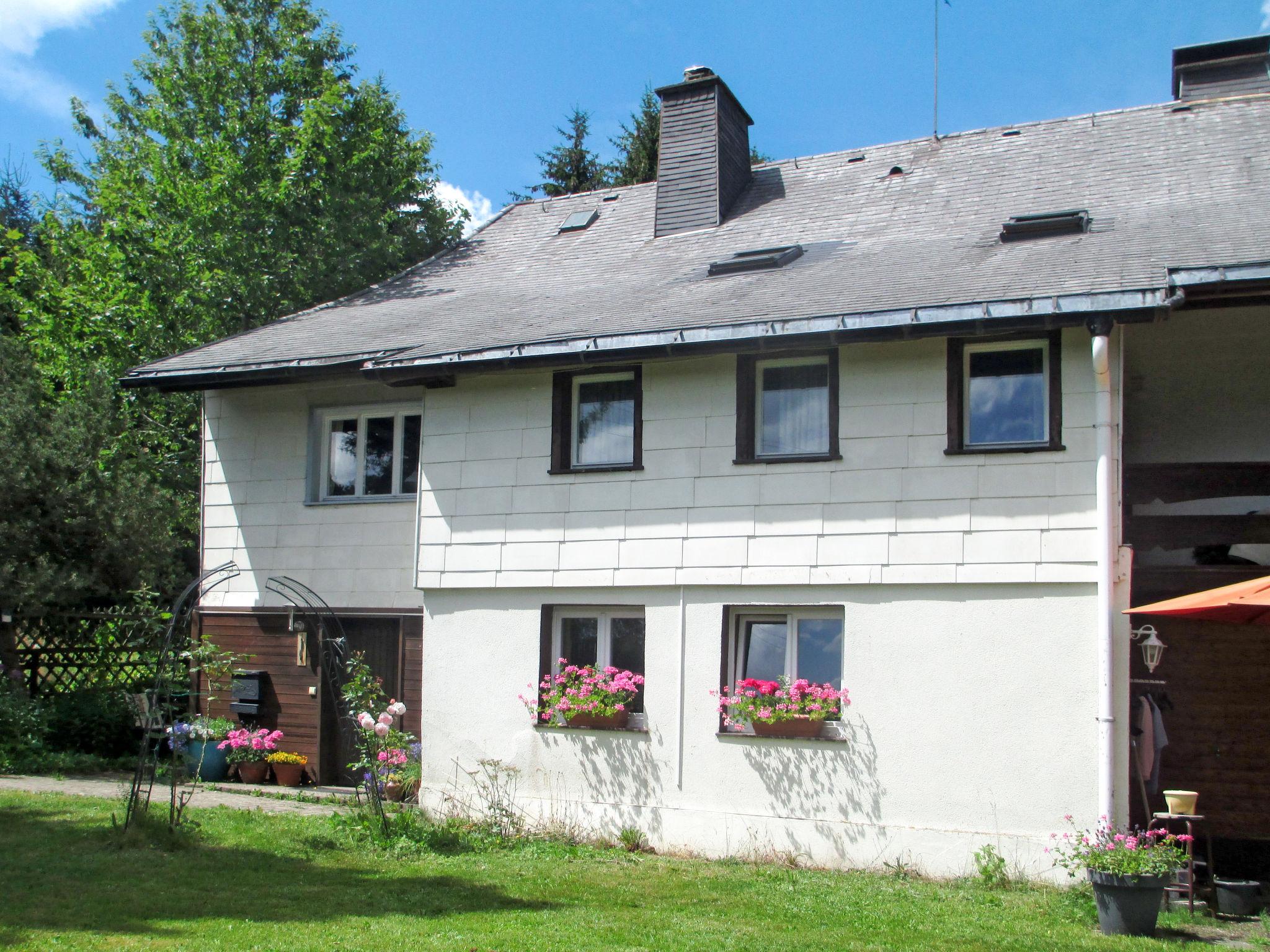 Foto 13 - Appartamento con 2 camere da letto a Feldberg (Schwarzwald) con giardino e vista sulle montagne