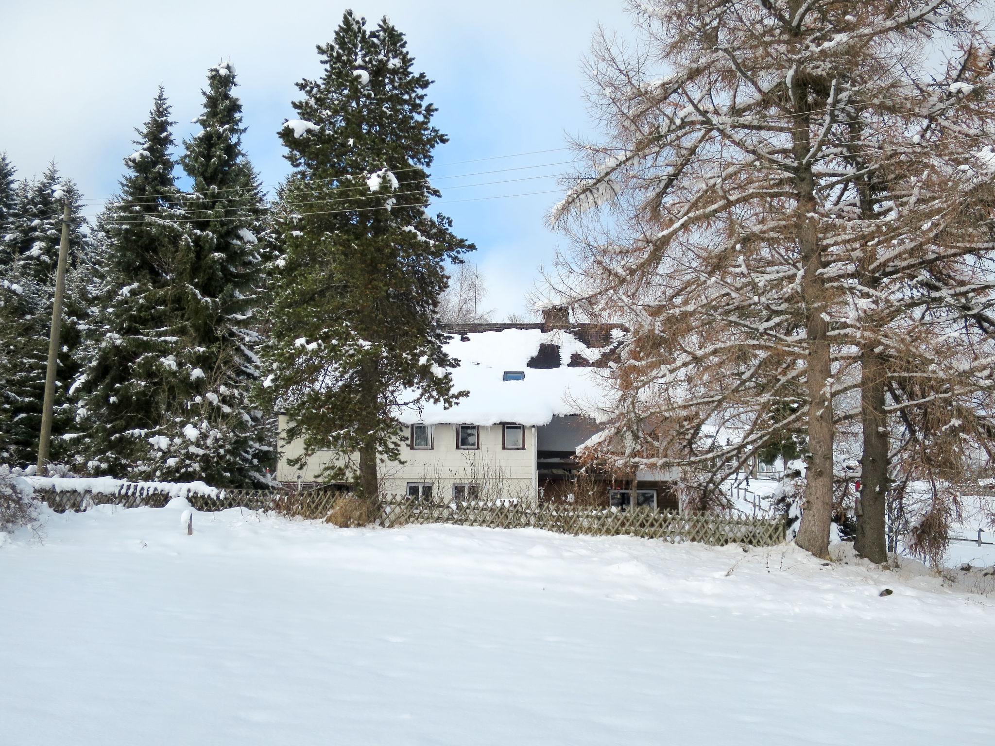 Foto 15 - Apartamento de 2 quartos em Feldberg (Schwarzwald) com jardim e vista para a montanha