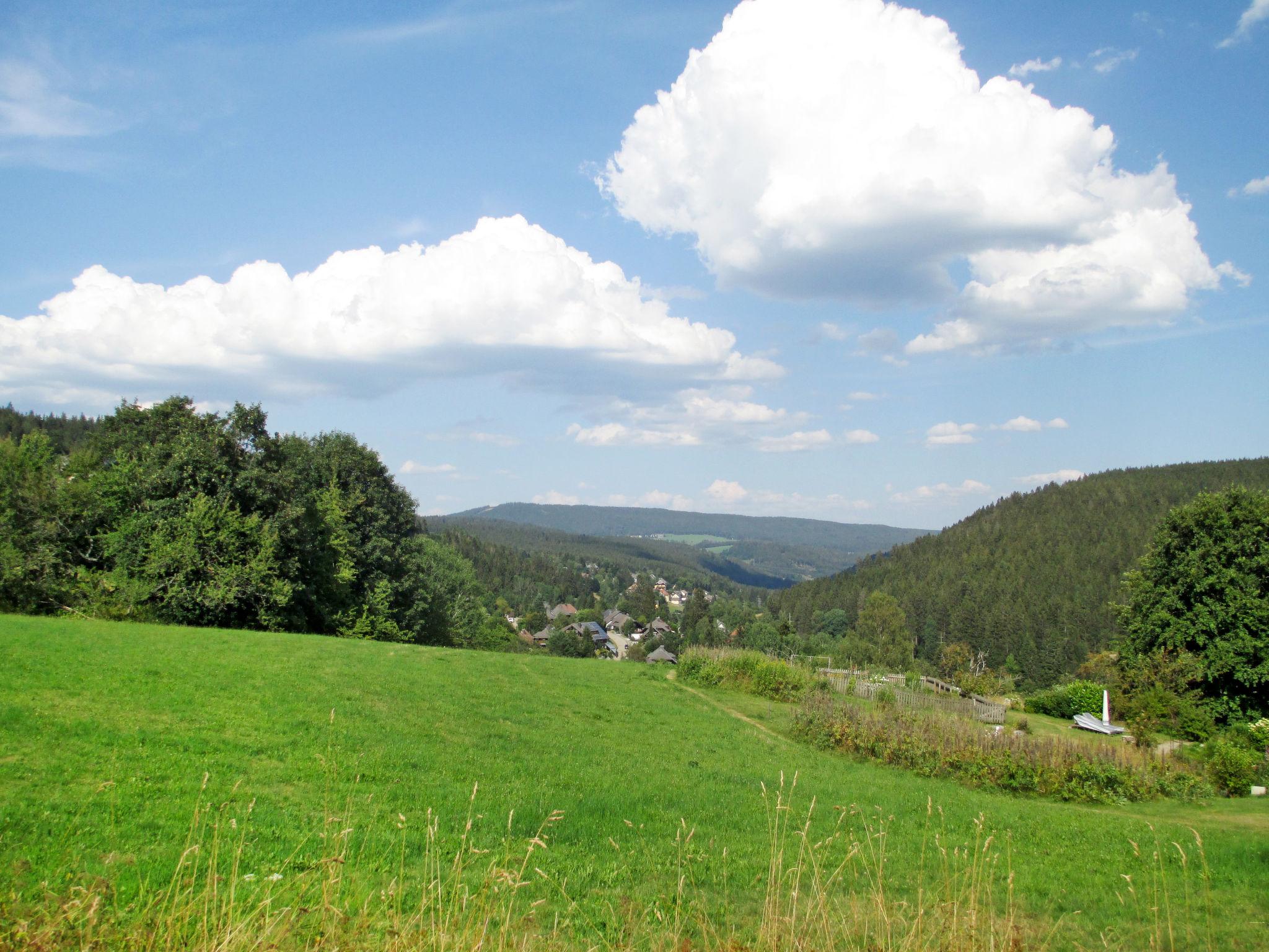 Photo 14 - Appartement de 2 chambres à Feldberg (Schwarzwald) avec jardin et vues sur la montagne