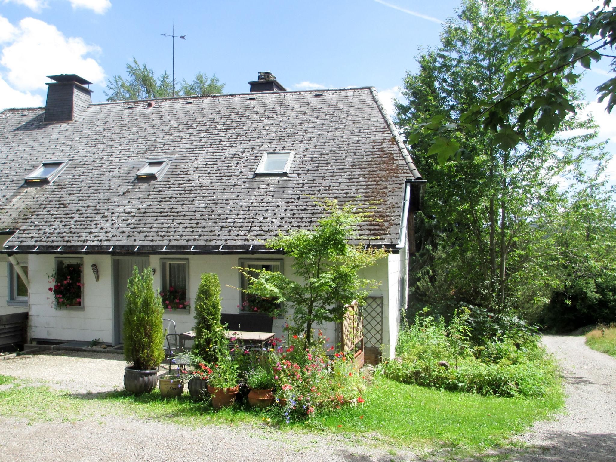 Foto 1 - Appartamento con 2 camere da letto a Feldberg (Schwarzwald) con giardino