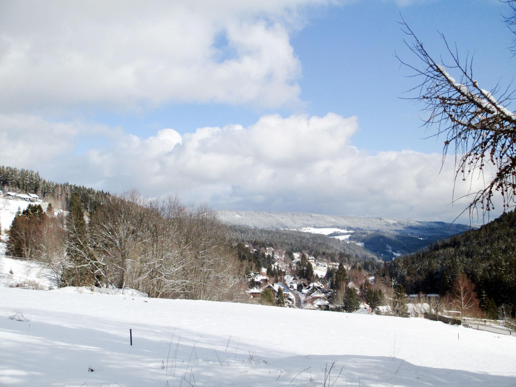 Foto 17 - Apartamento de 2 habitaciones en Feldberg (Schwarzwald) con jardín y vistas a la montaña