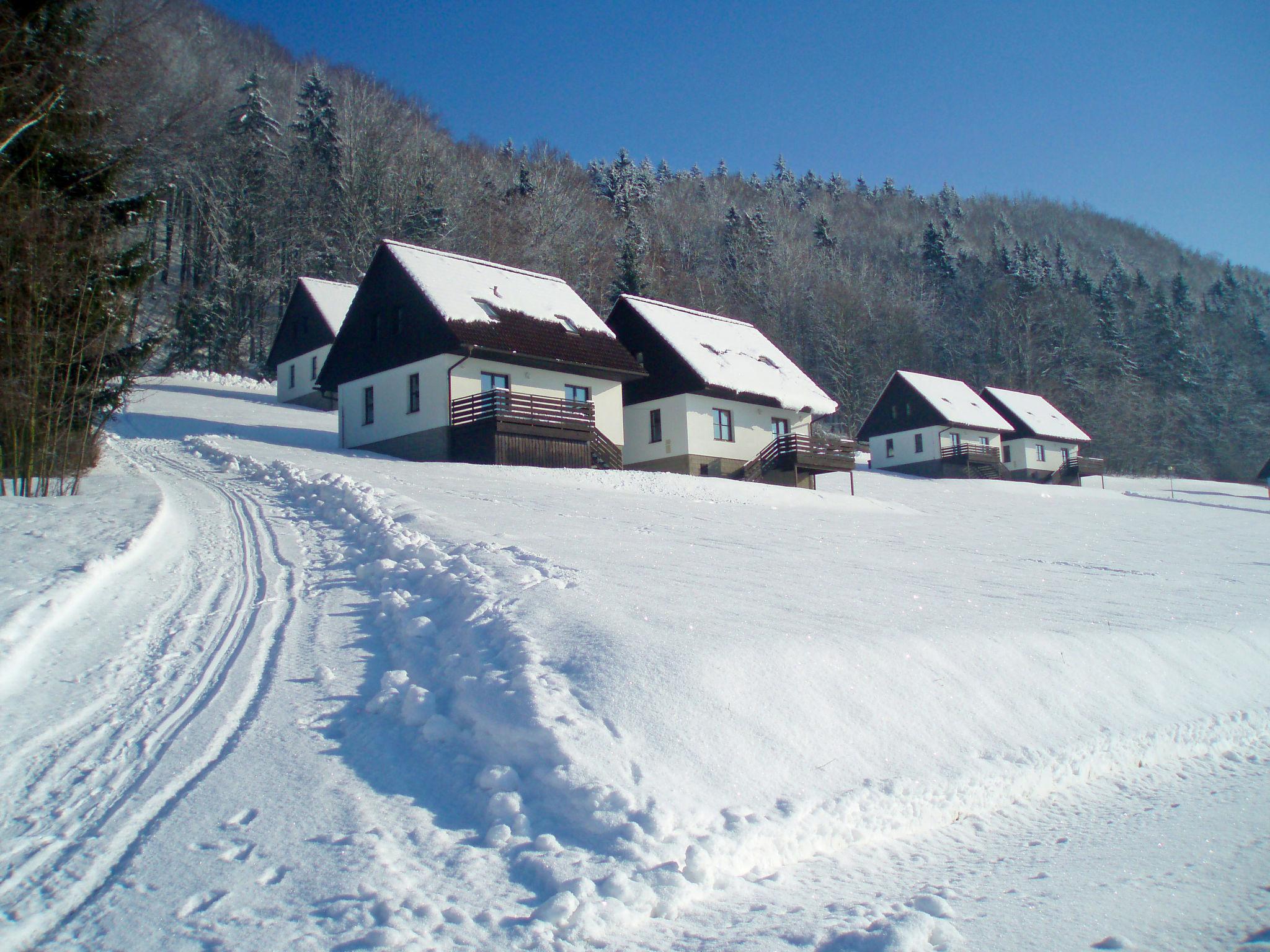 Foto 40 - Haus mit 3 Schlafzimmern in Stárkov mit schwimmbad und garten