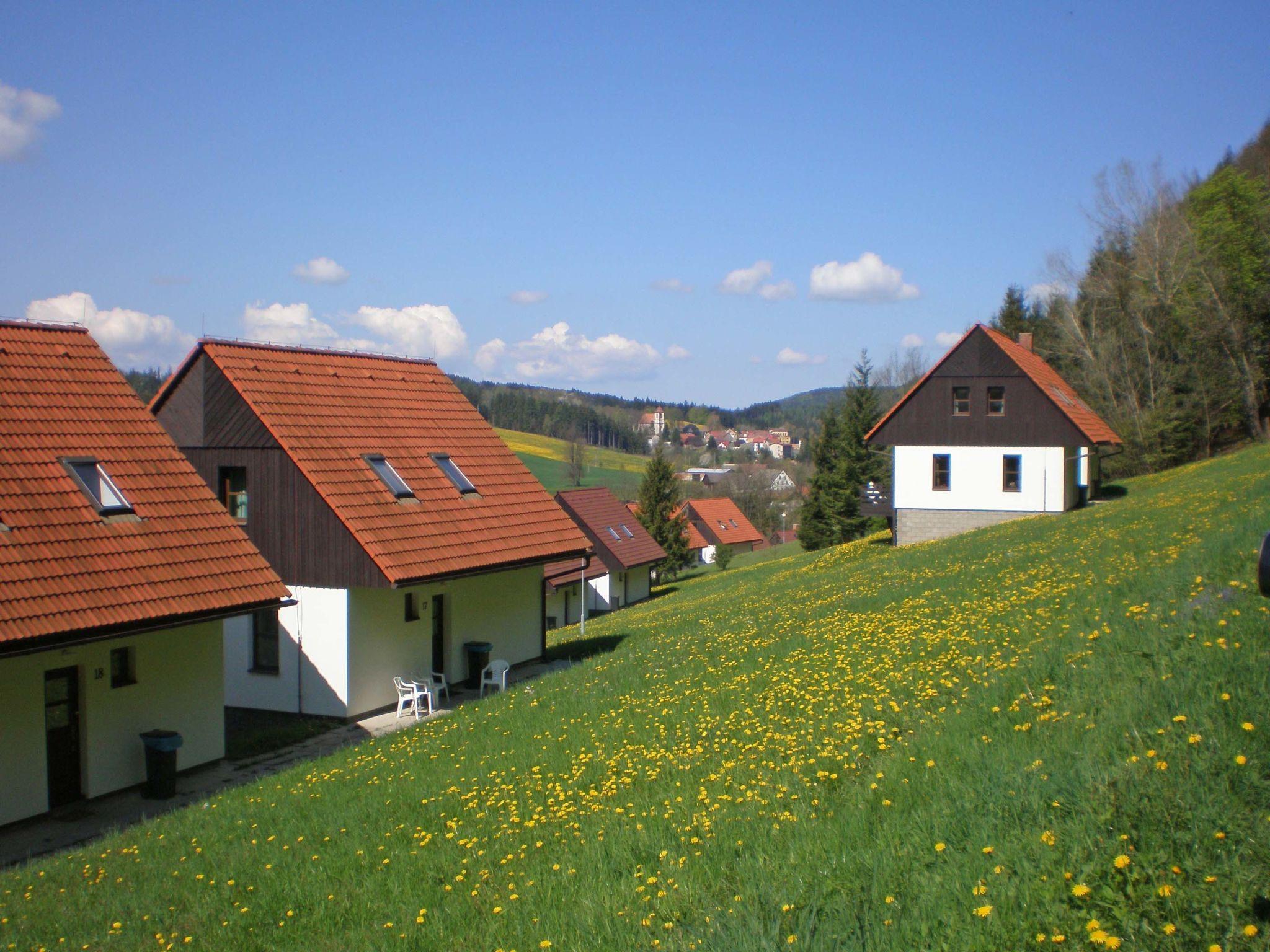 Foto 24 - Haus mit 3 Schlafzimmern in Stárkov mit schwimmbad und garten