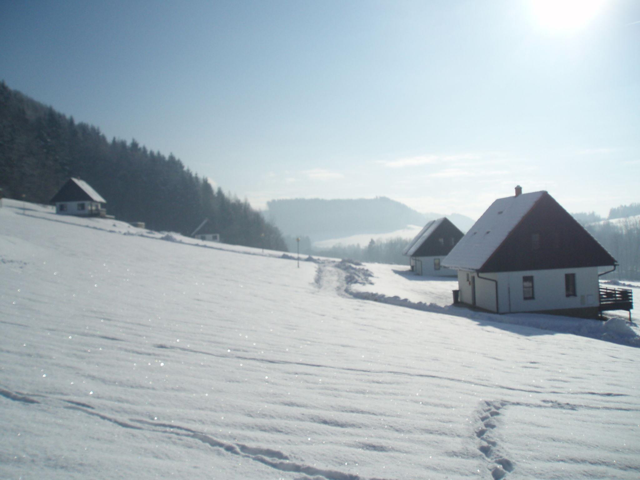 Foto 41 - Haus mit 3 Schlafzimmern in Stárkov mit schwimmbad und garten