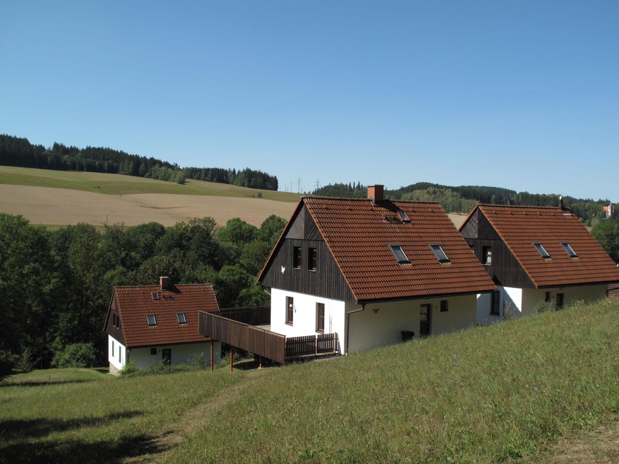 Foto 26 - Haus mit 3 Schlafzimmern in Stárkov mit schwimmbad und garten