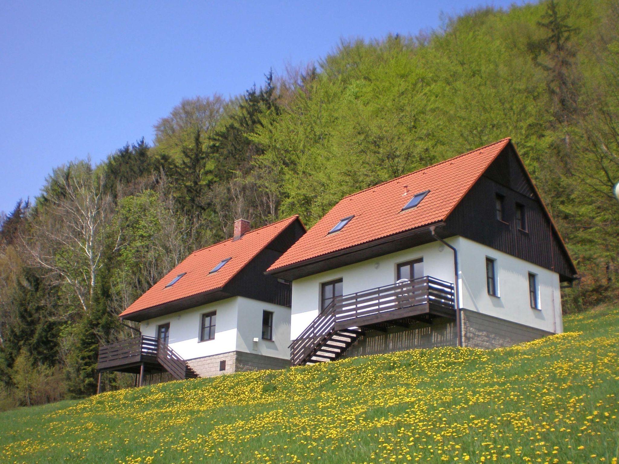 Foto 1 - Casa de 3 habitaciones en Stárkov con piscina y jardín