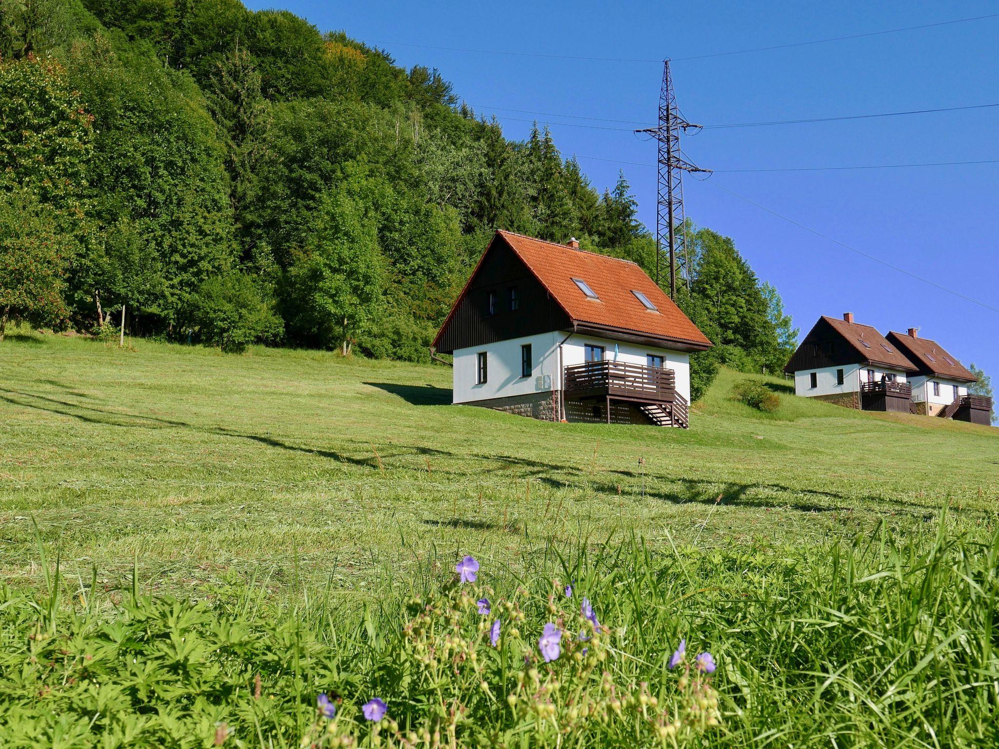 Photo 23 - Maison de 3 chambres à Stárkov avec piscine et jardin