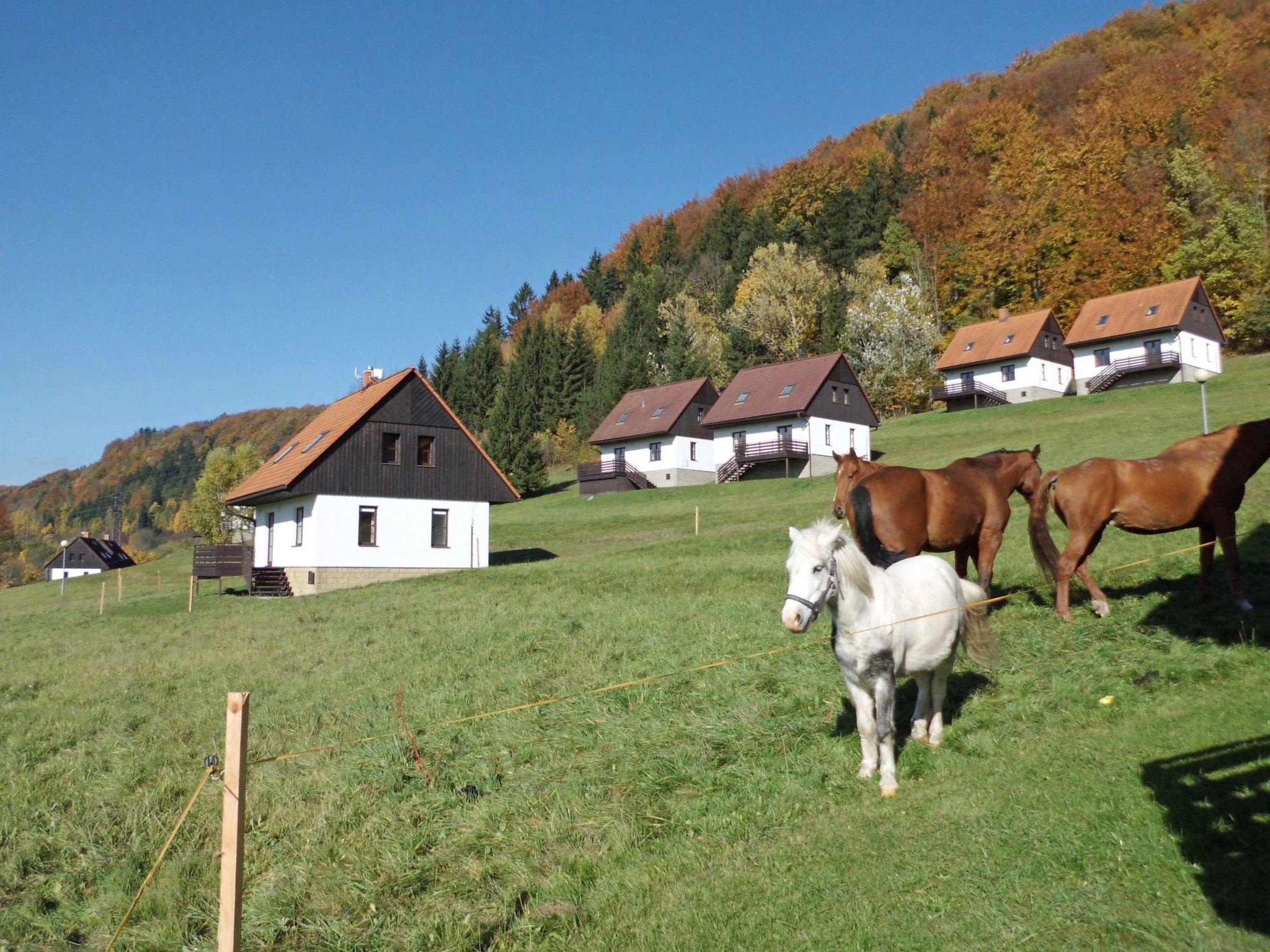 Foto 28 - Haus mit 3 Schlafzimmern in Stárkov mit schwimmbad und garten