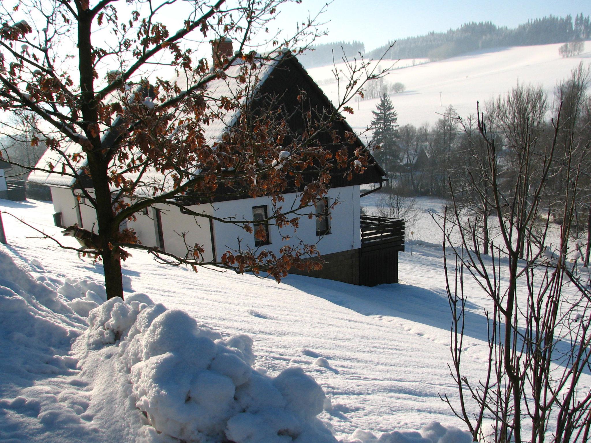 Foto 38 - Haus mit 3 Schlafzimmern in Stárkov mit schwimmbad und garten