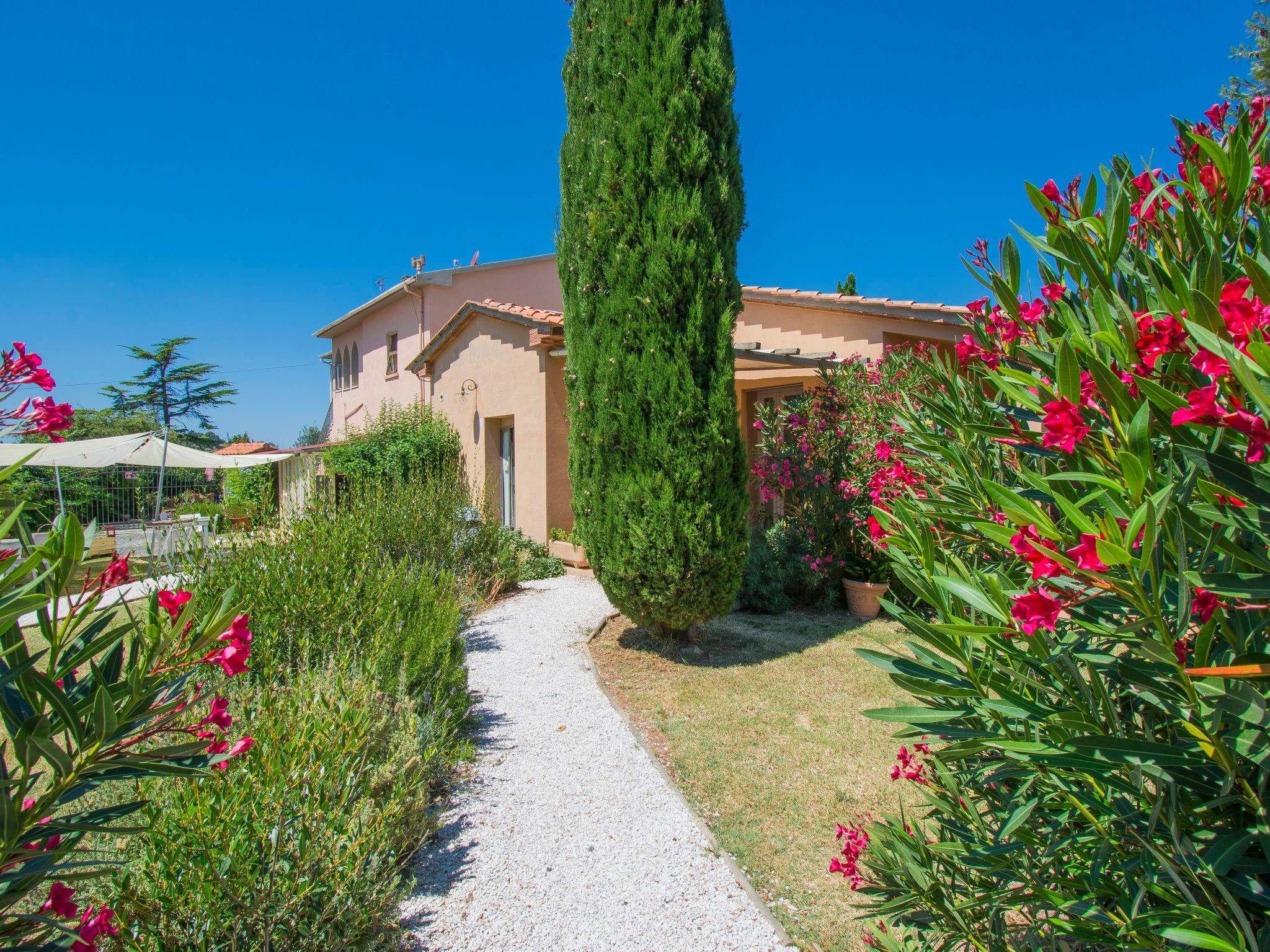 Photo 22 - Maison de 2 chambres à Bibbona avec jardin et terrasse