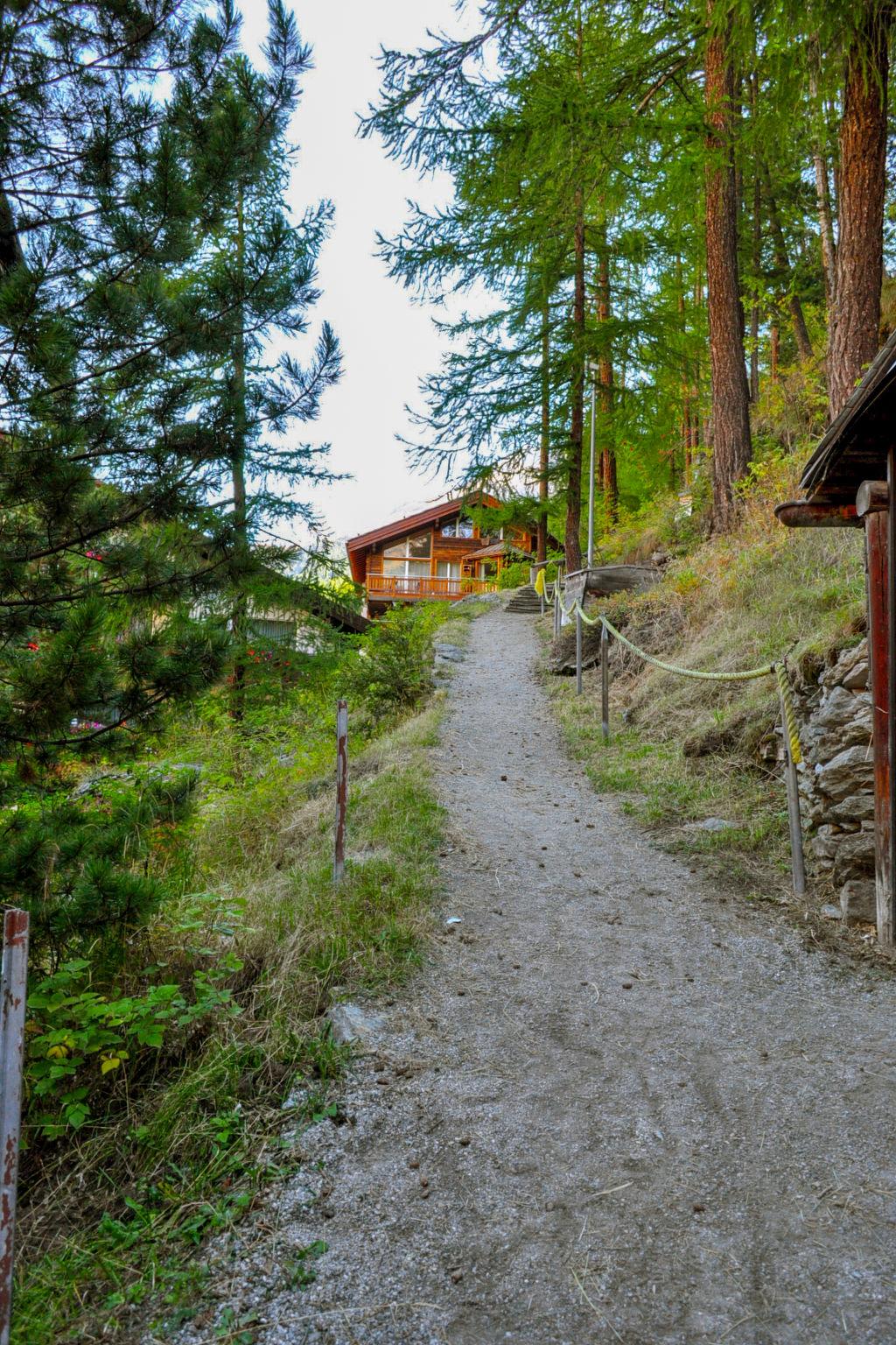 Foto 20 - Appartamento con 5 camere da letto a Zermatt con giardino