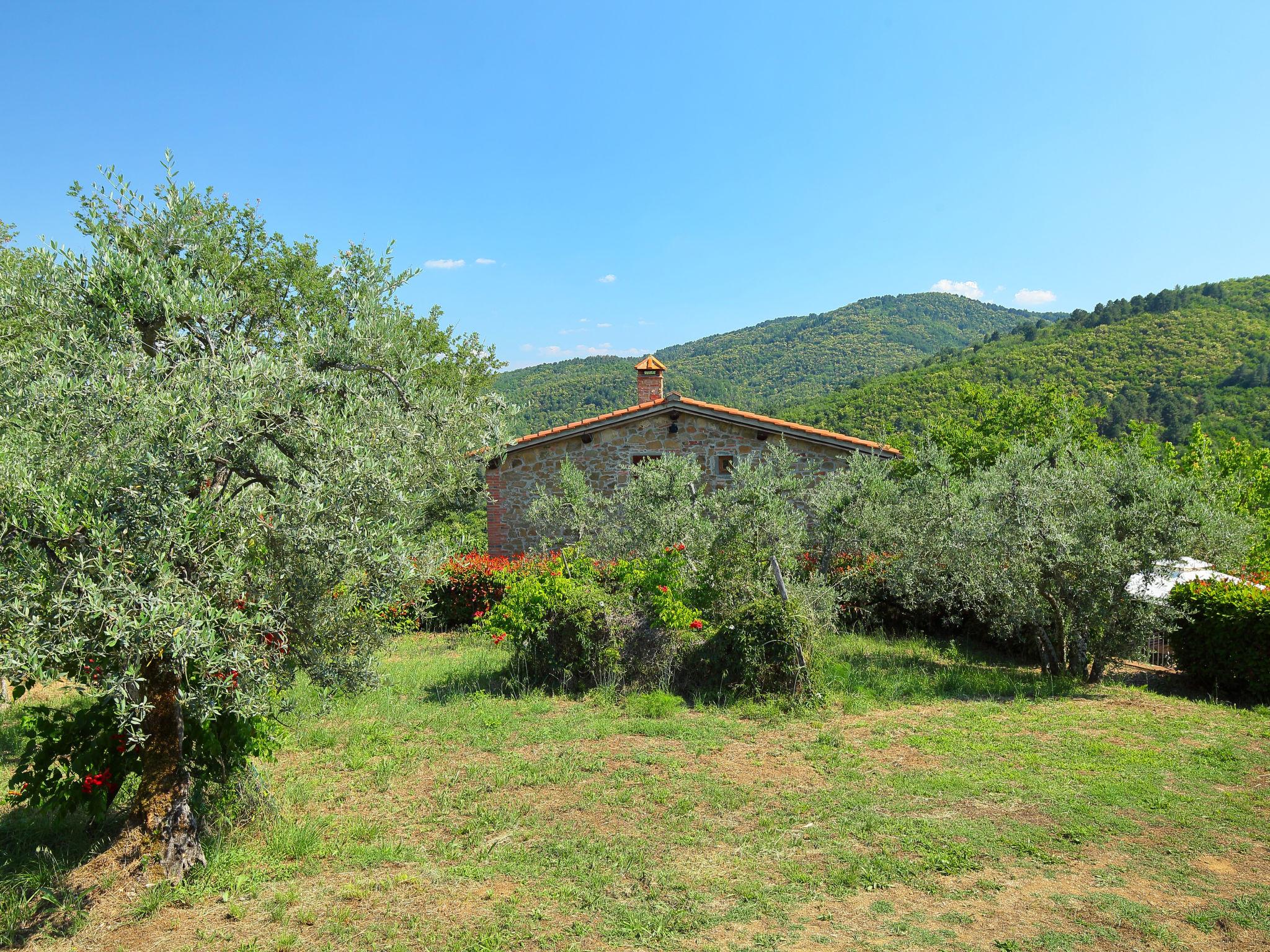 Foto 38 - Casa con 5 camere da letto a Montevarchi con piscina privata e giardino