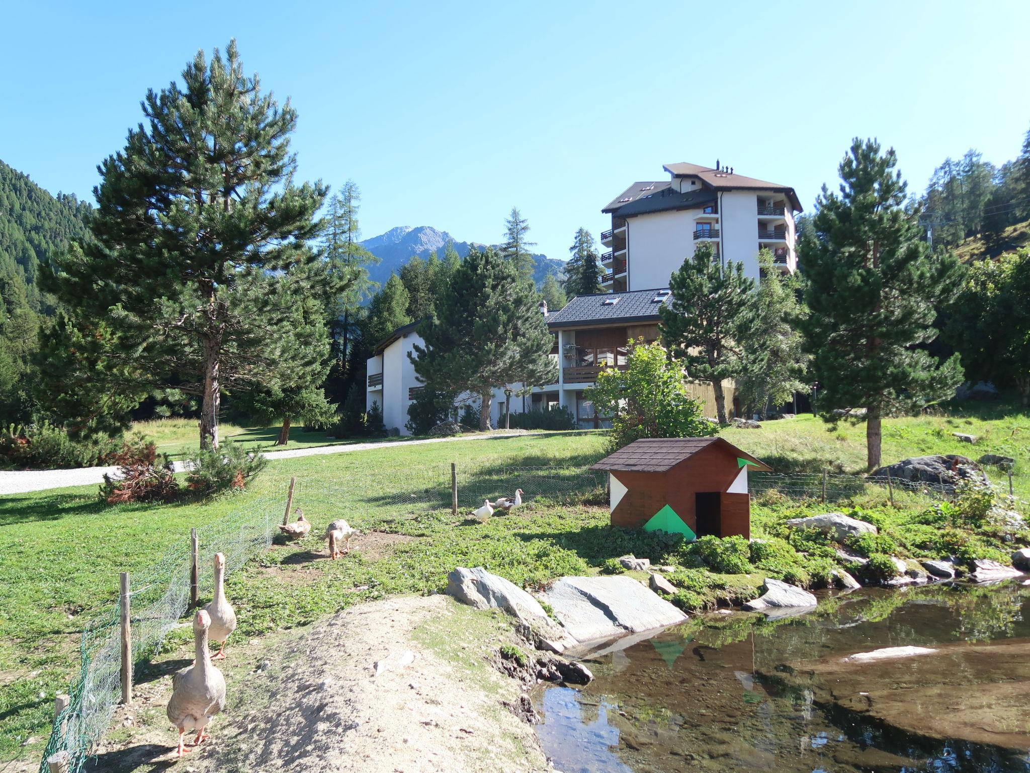 Foto 1 - Apartamento de 2 habitaciones en Nendaz con terraza y vistas a la montaña