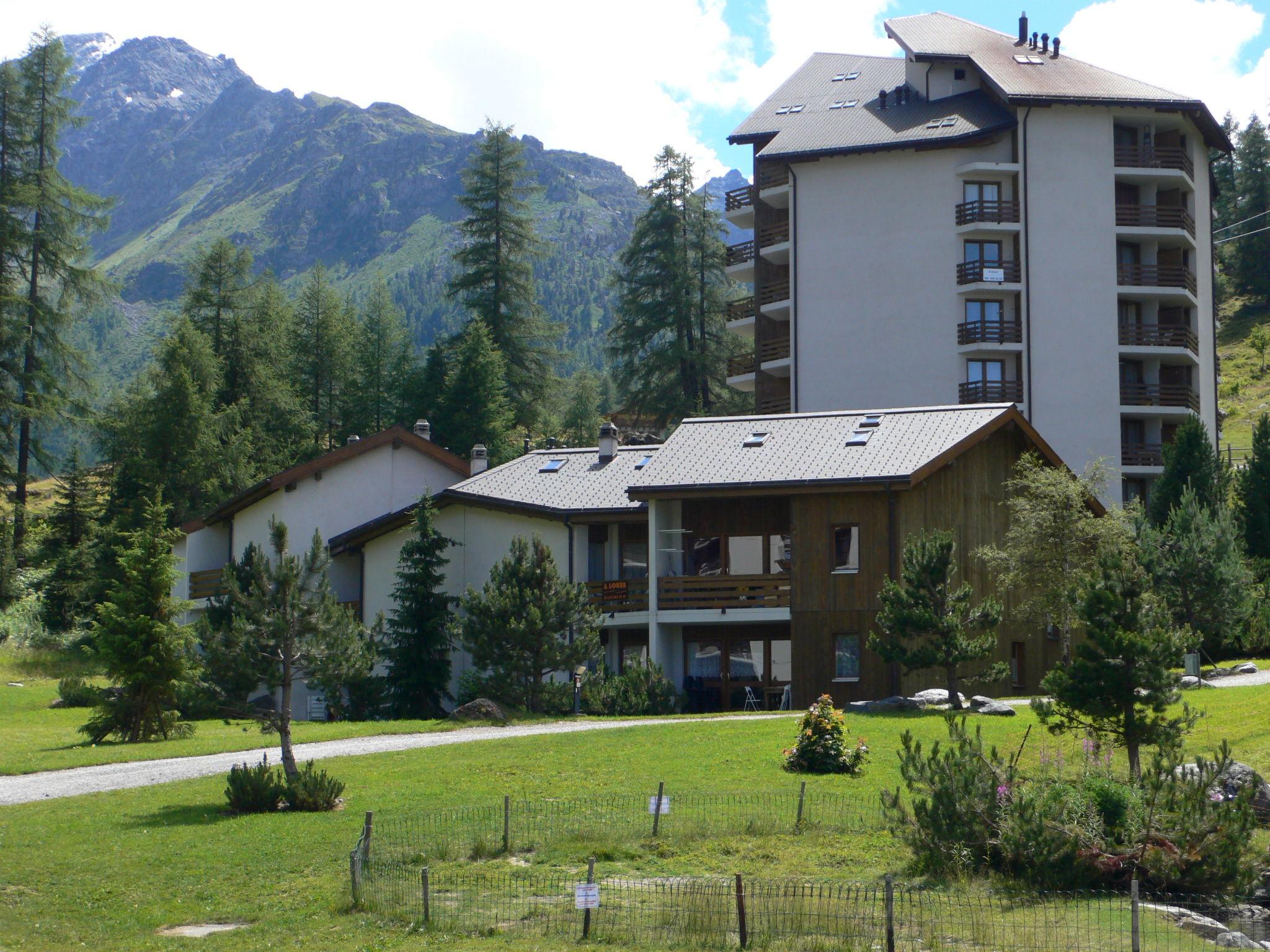 Foto 6 - Apartamento de 2 quartos em Nendaz com terraço