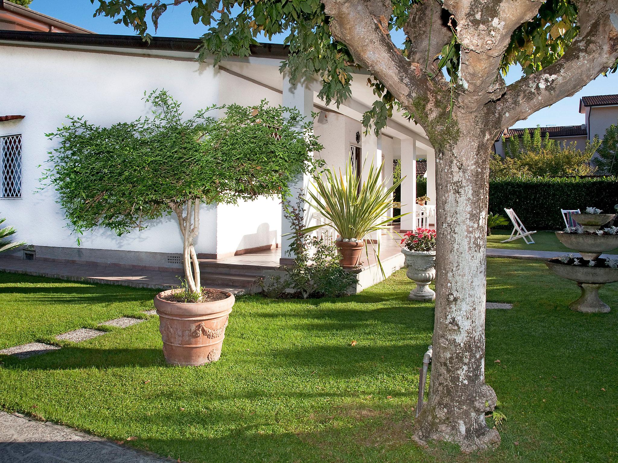 Foto 3 - Casa de 3 habitaciones en Forte dei Marmi con jardín y vistas al mar