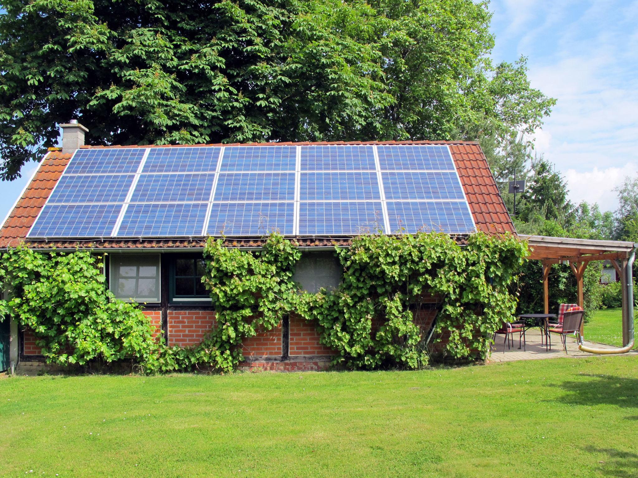 Foto 12 - Haus mit 1 Schlafzimmer in Sundhagen mit garten und terrasse