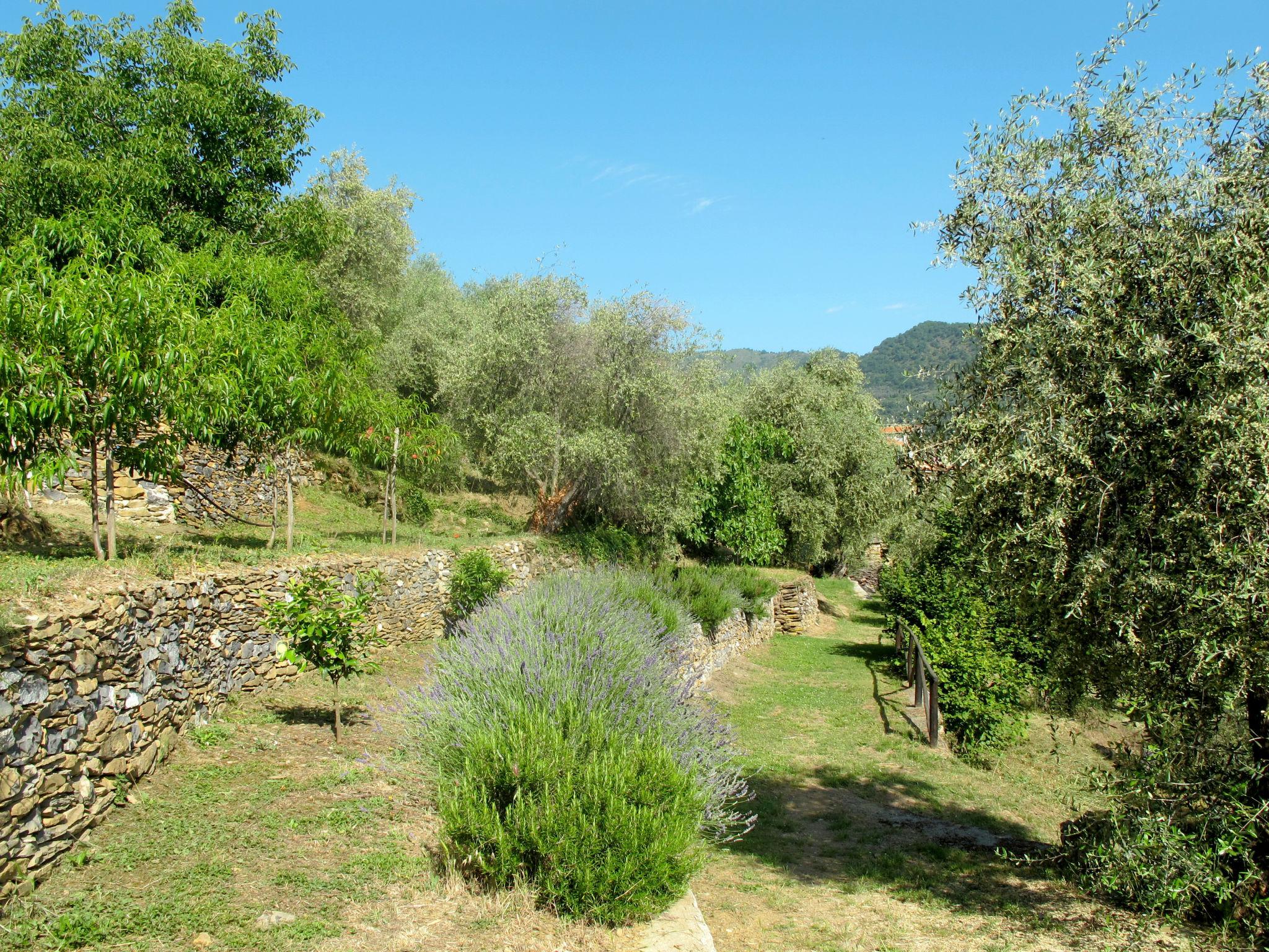 Foto 24 - Casa de 2 habitaciones en Dolcedo con jardín y terraza