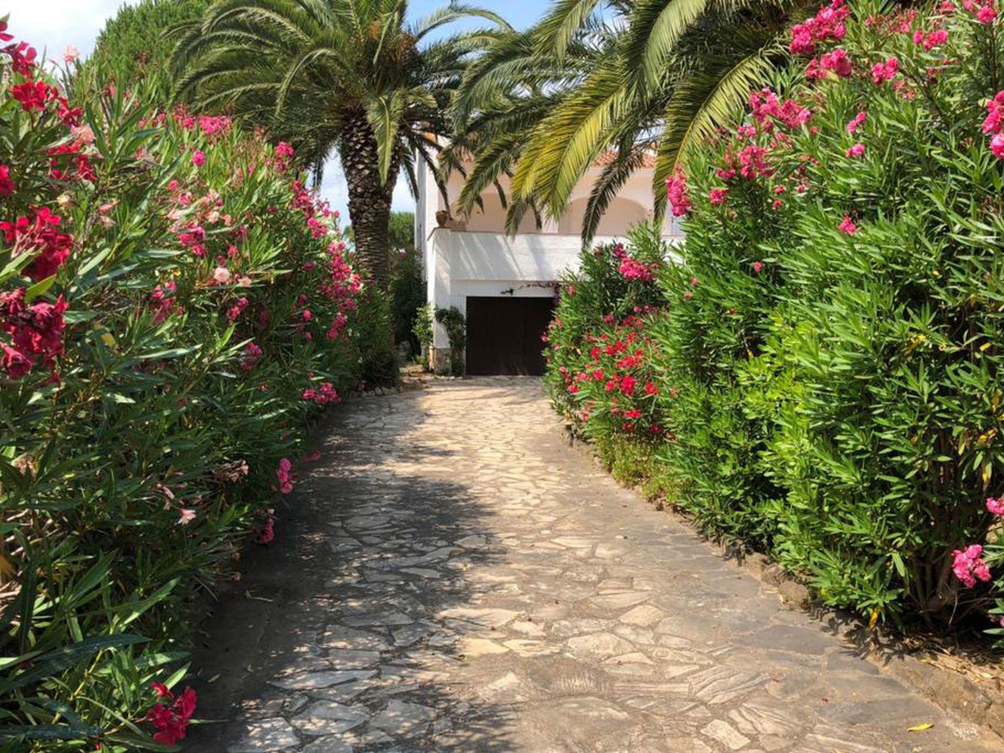 Photo 13 - Maison de 3 chambres à Torroella de Montgrí avec piscine privée et jardin